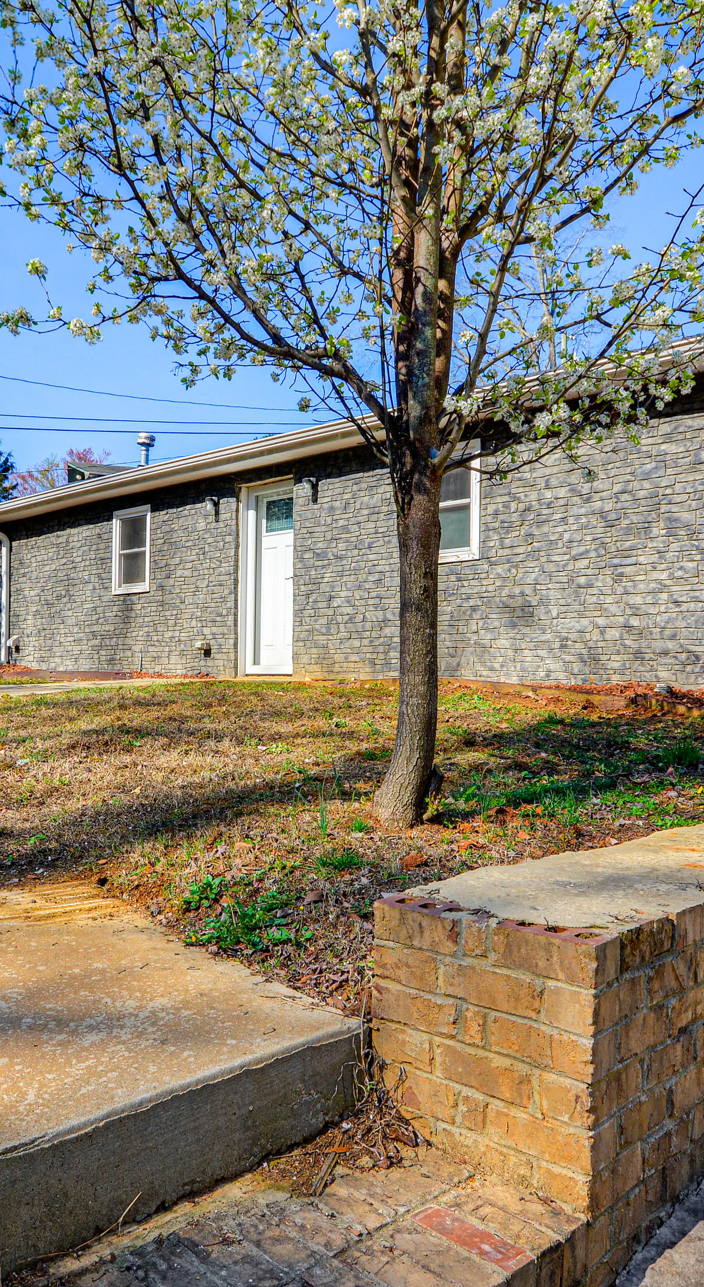 Bring Your Pets! Getaway 1 Mi to Uptown Lexington