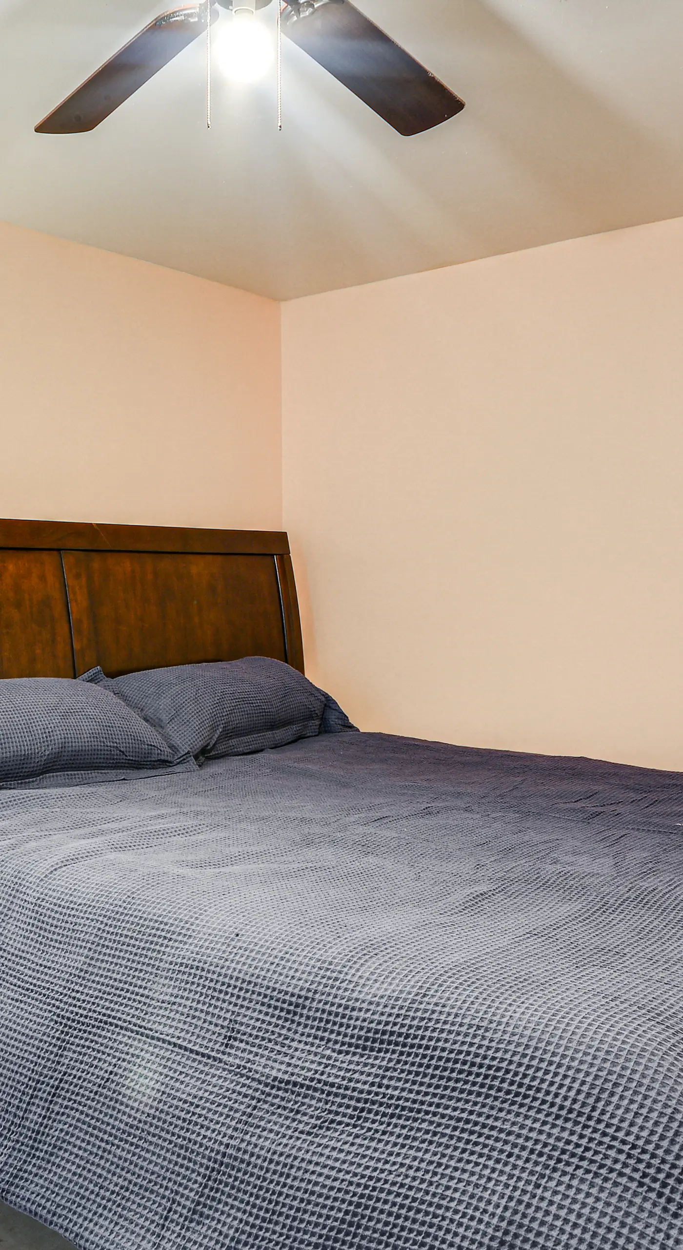 Bring Your Pets! Getaway 1 Mi to Uptown Lexington