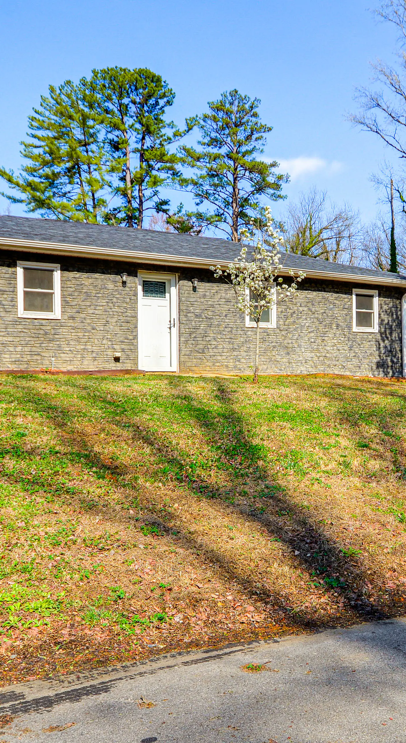 Bring Your Pets! Getaway 1 Mi to Uptown Lexington