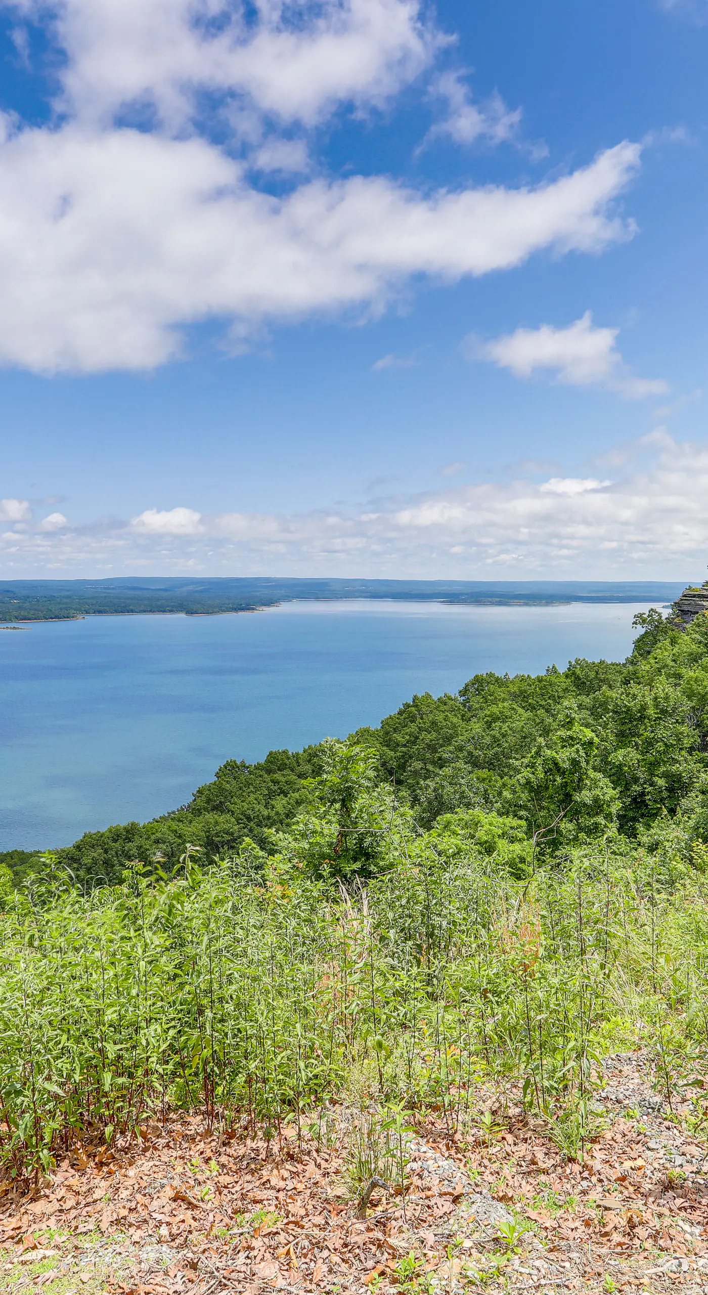 Luxe Home w/ Panoramic Greers Ferry Lake Views