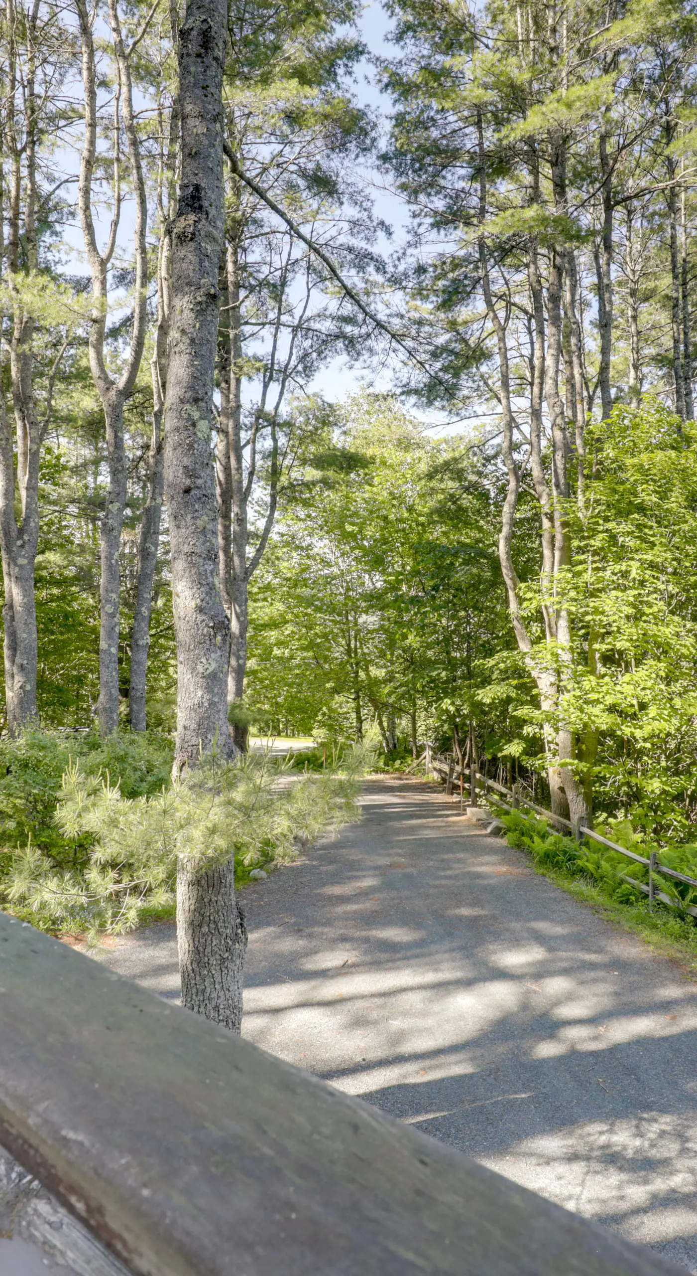 Resort-Style Community! Quechee Chalet w/ Deck