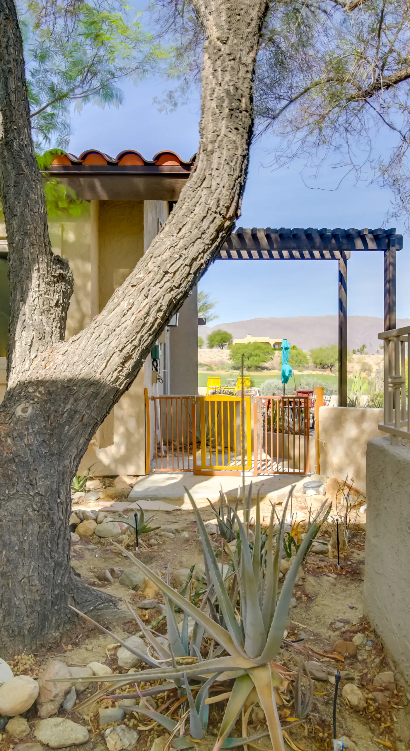 'Roadrunner Roost' at Rams Hill Golf Resort!
