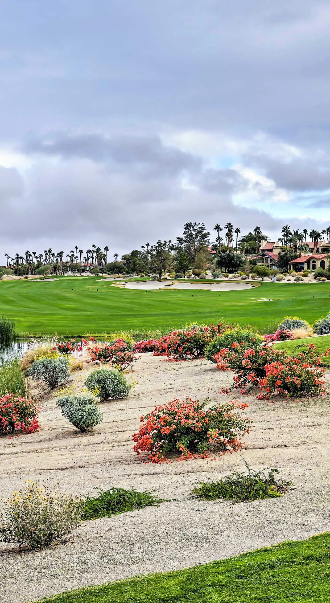 'Roadrunner Roost' at Rams Hill Golf Resort!