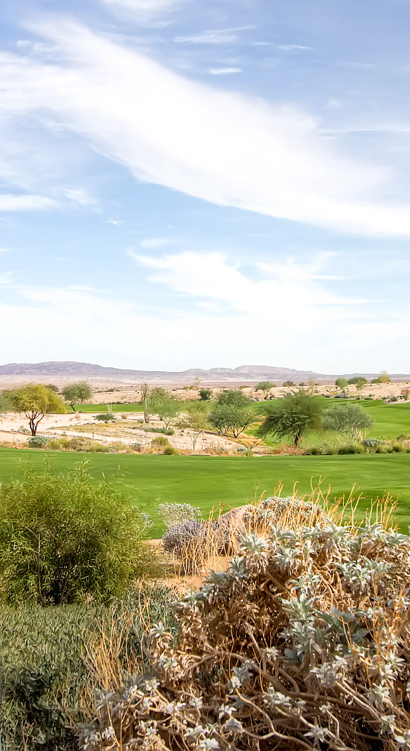 Borrego Springs Hideaway: Pool Table, Mtn Views!