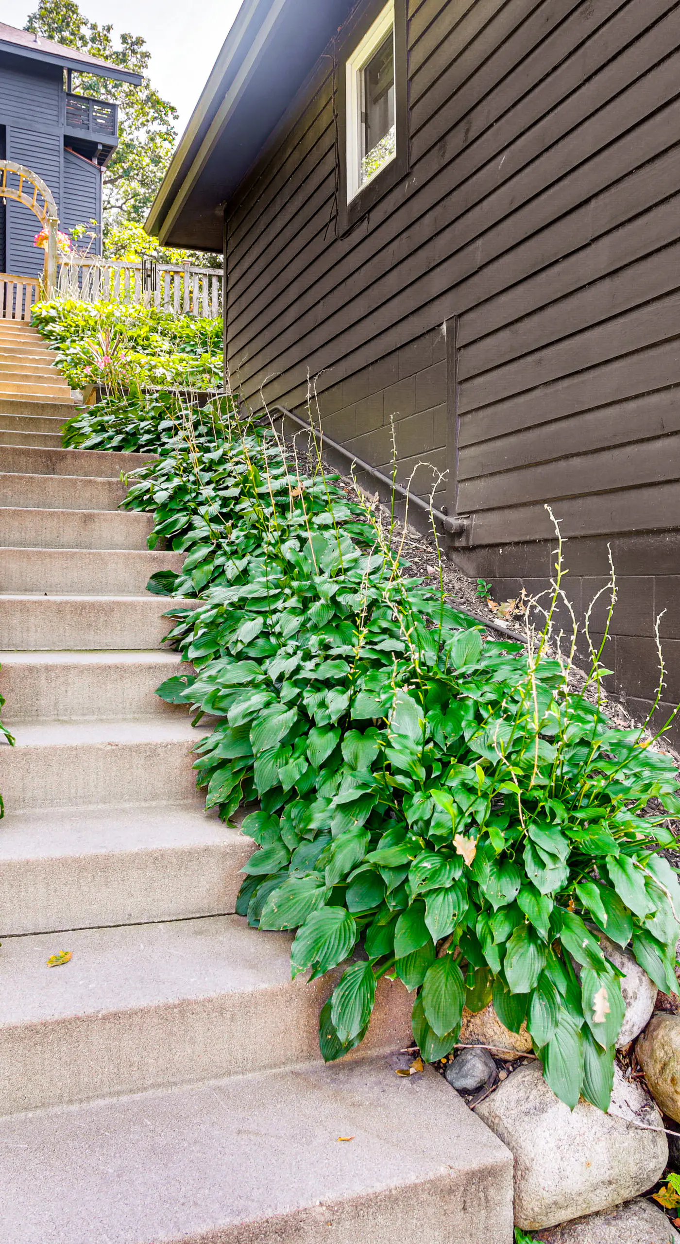 Pet-Friendly Minneapolis Studio: Walk to Lake!