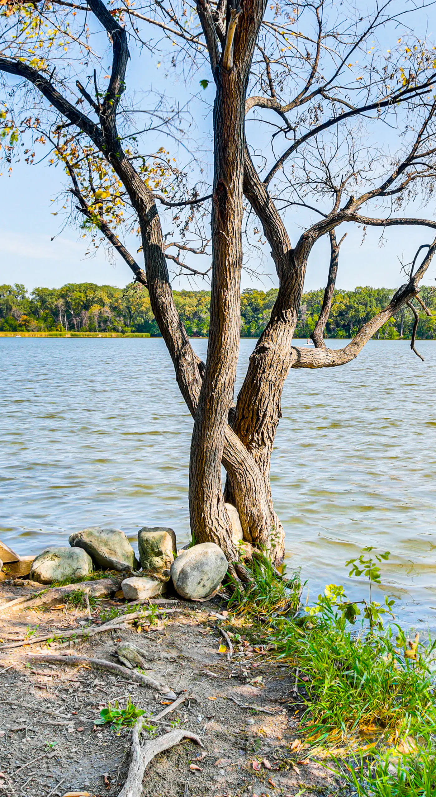 Pet-Friendly Minneapolis Studio: Walk to Lake!
