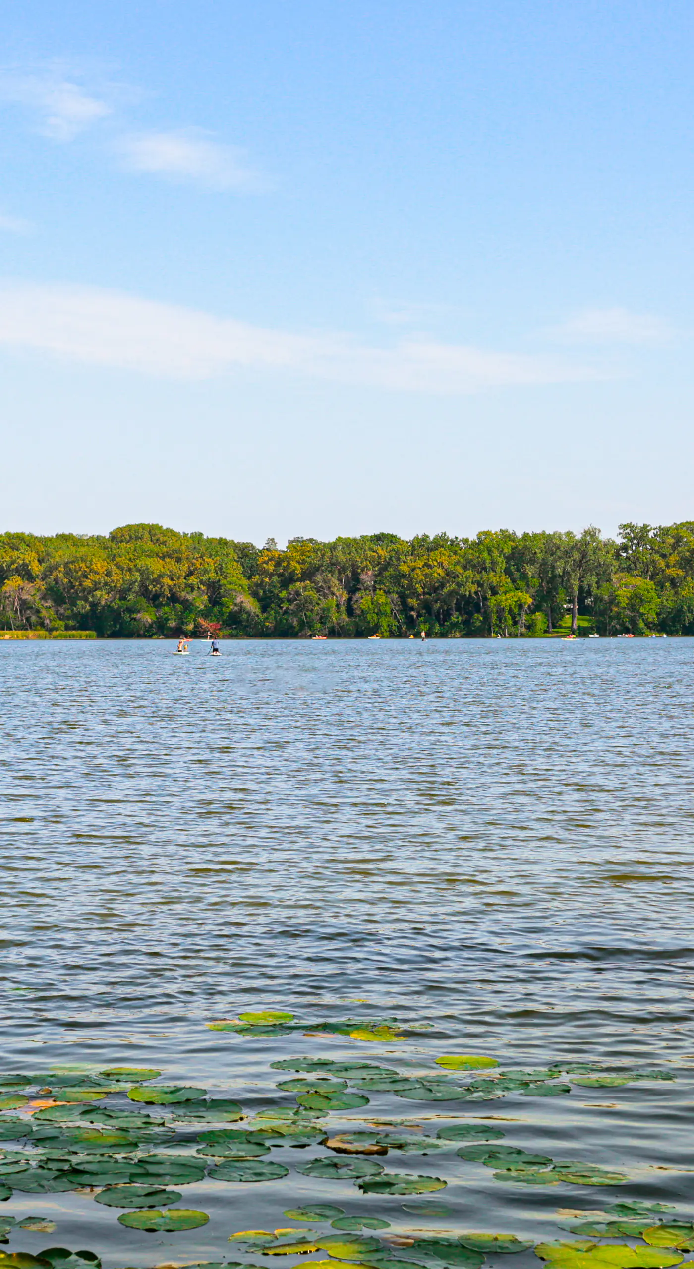 Pet-Friendly Minneapolis Studio: Walk to Lake!