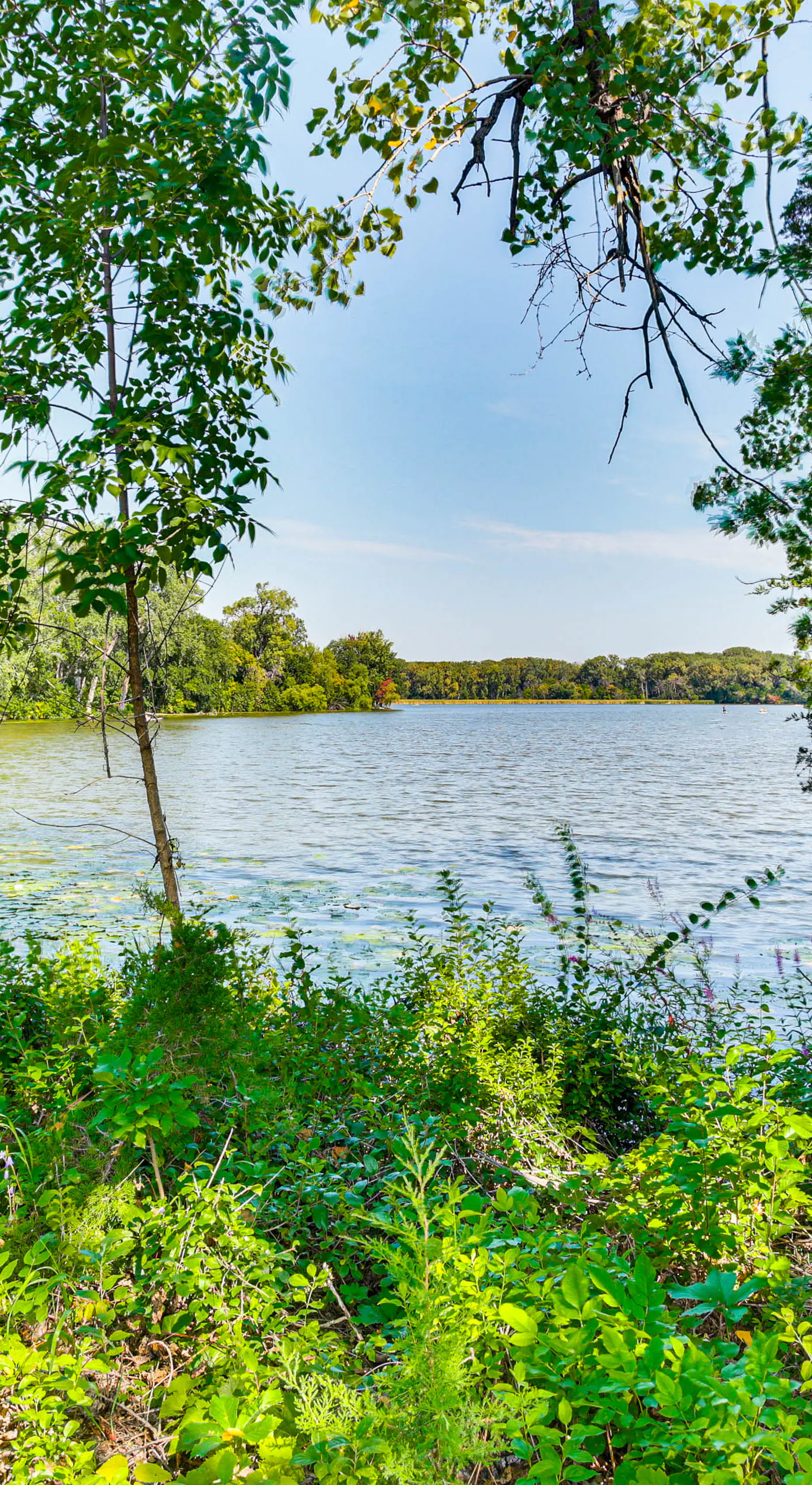 Pet-Friendly Minneapolis Studio: Walk to Lake!