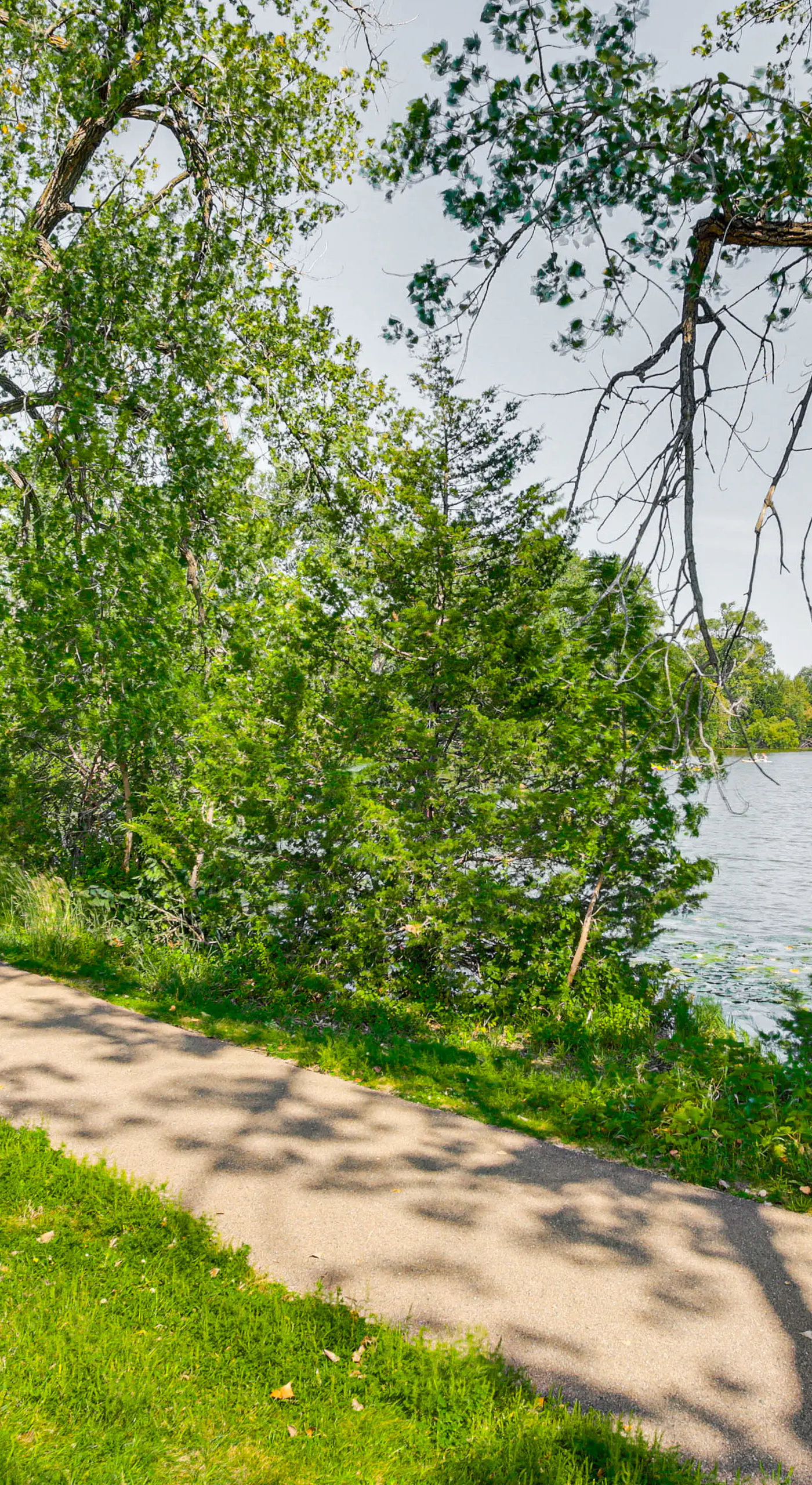Pet-Friendly Minneapolis Studio: Walk to Lake!