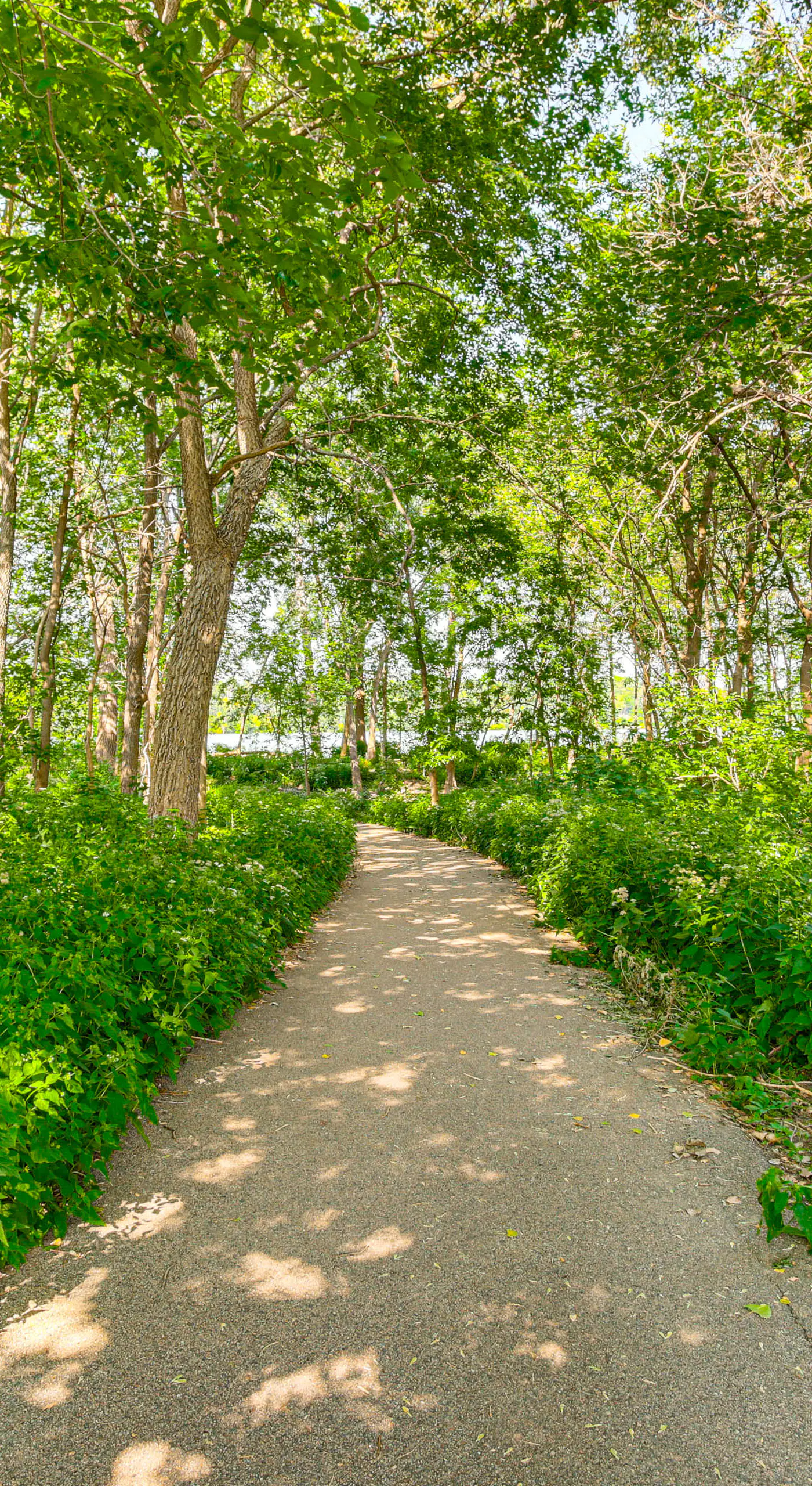 Pet-Friendly Minneapolis Studio: Walk to Lake!