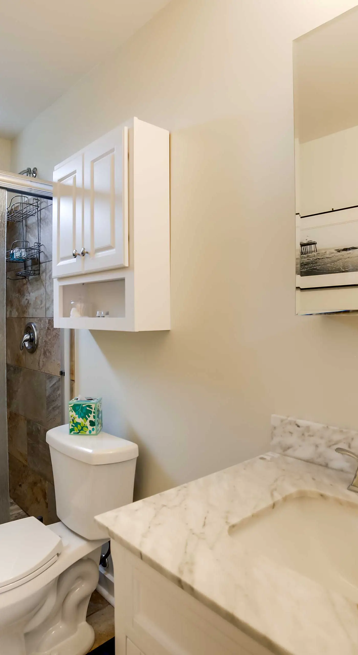 Walk to Walnut St: Pet-Friendly Pittsburgh Home!