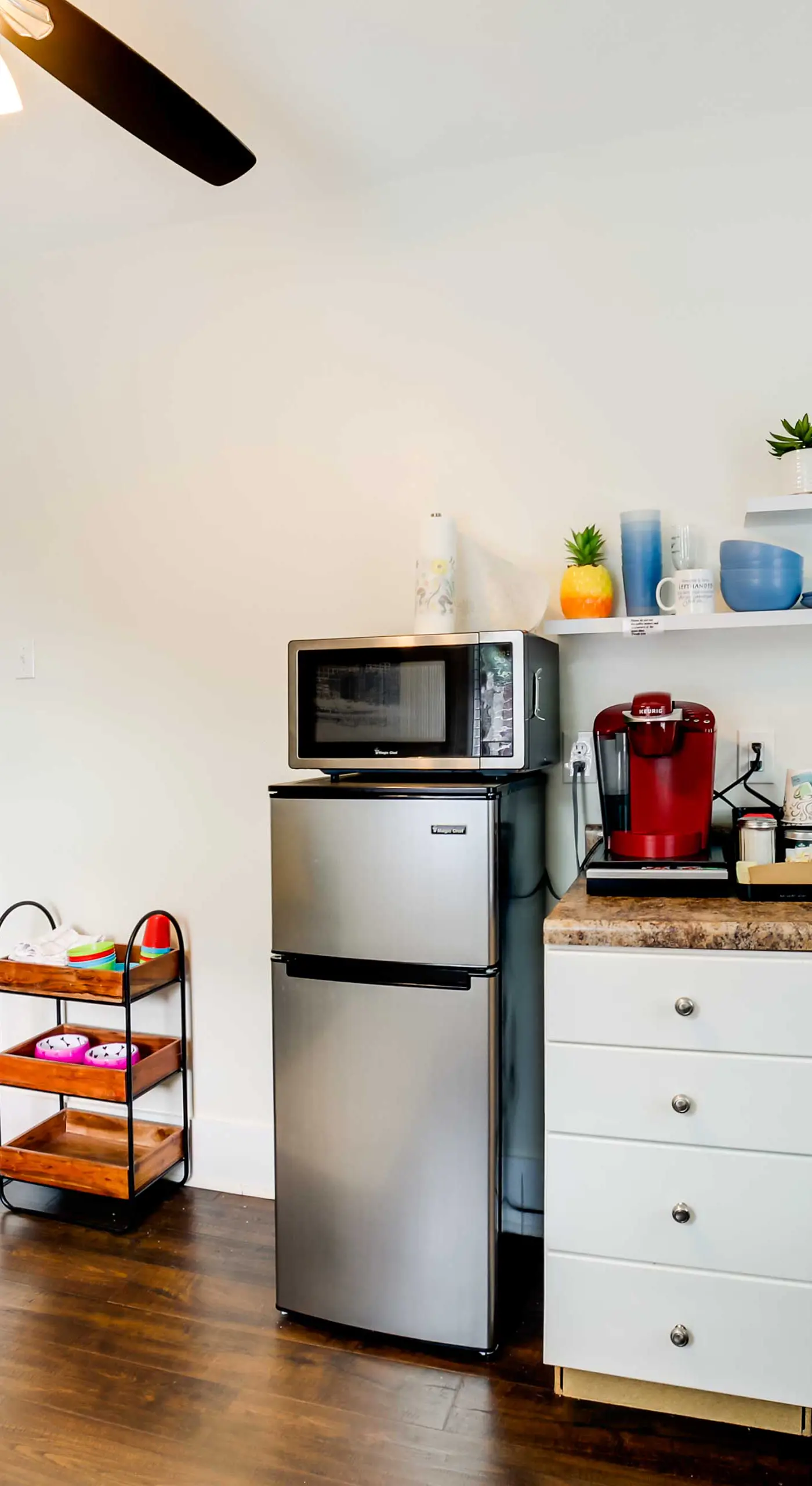 Walk to Walnut St: Pet-Friendly Pittsburgh Home!