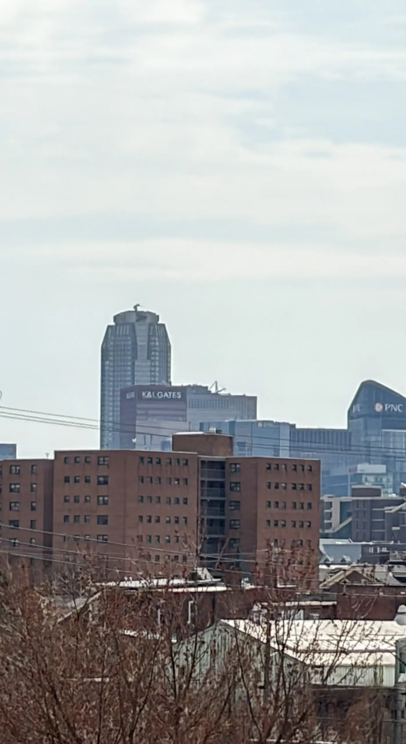 Pittsburgh Home w/ Skyline Views: Walk to Stadium!
