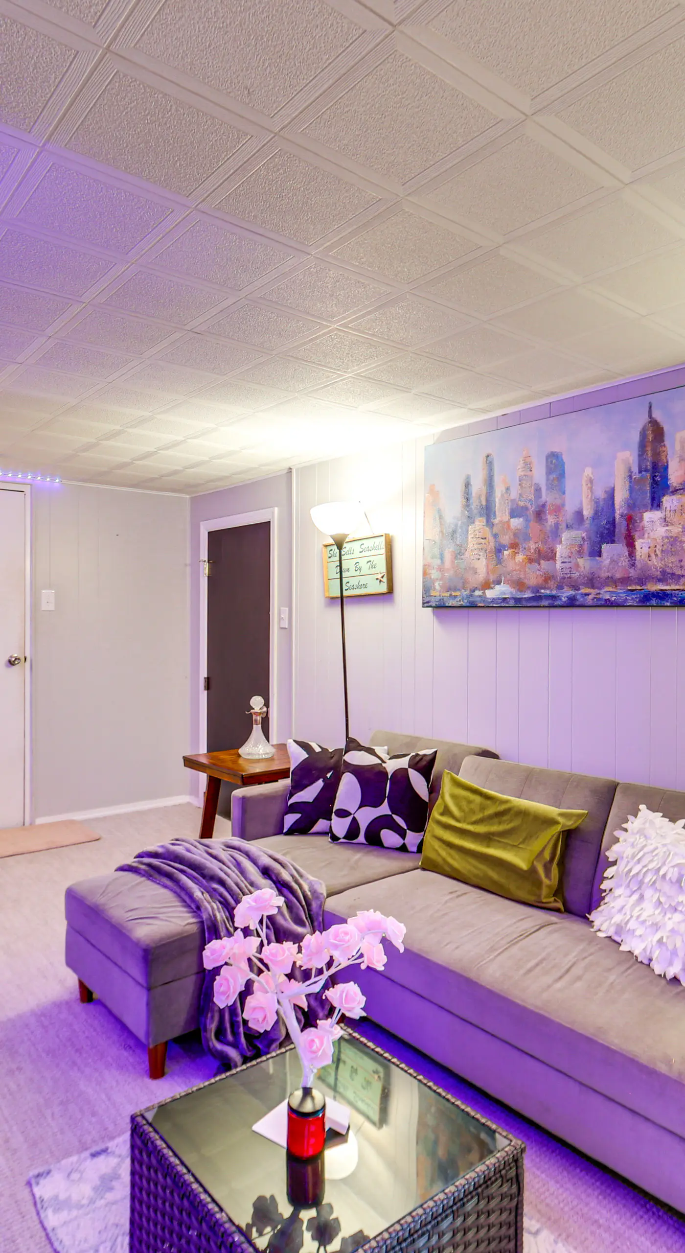 Pet Friendly, Private! Multi-Level Brookline Home