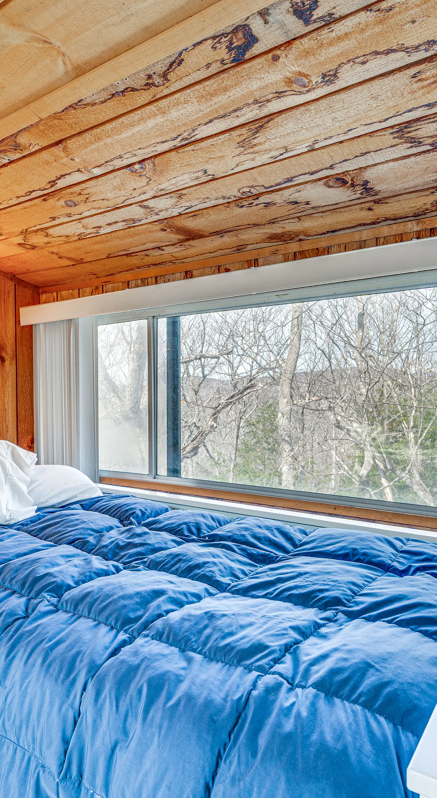 Mountain Resort Condo with King Bed Suite