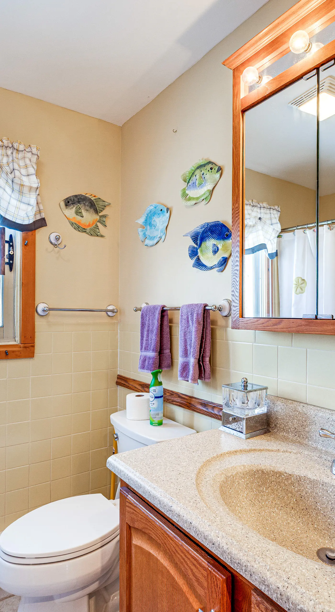 Mountain Resort Condo with King Bed Suite