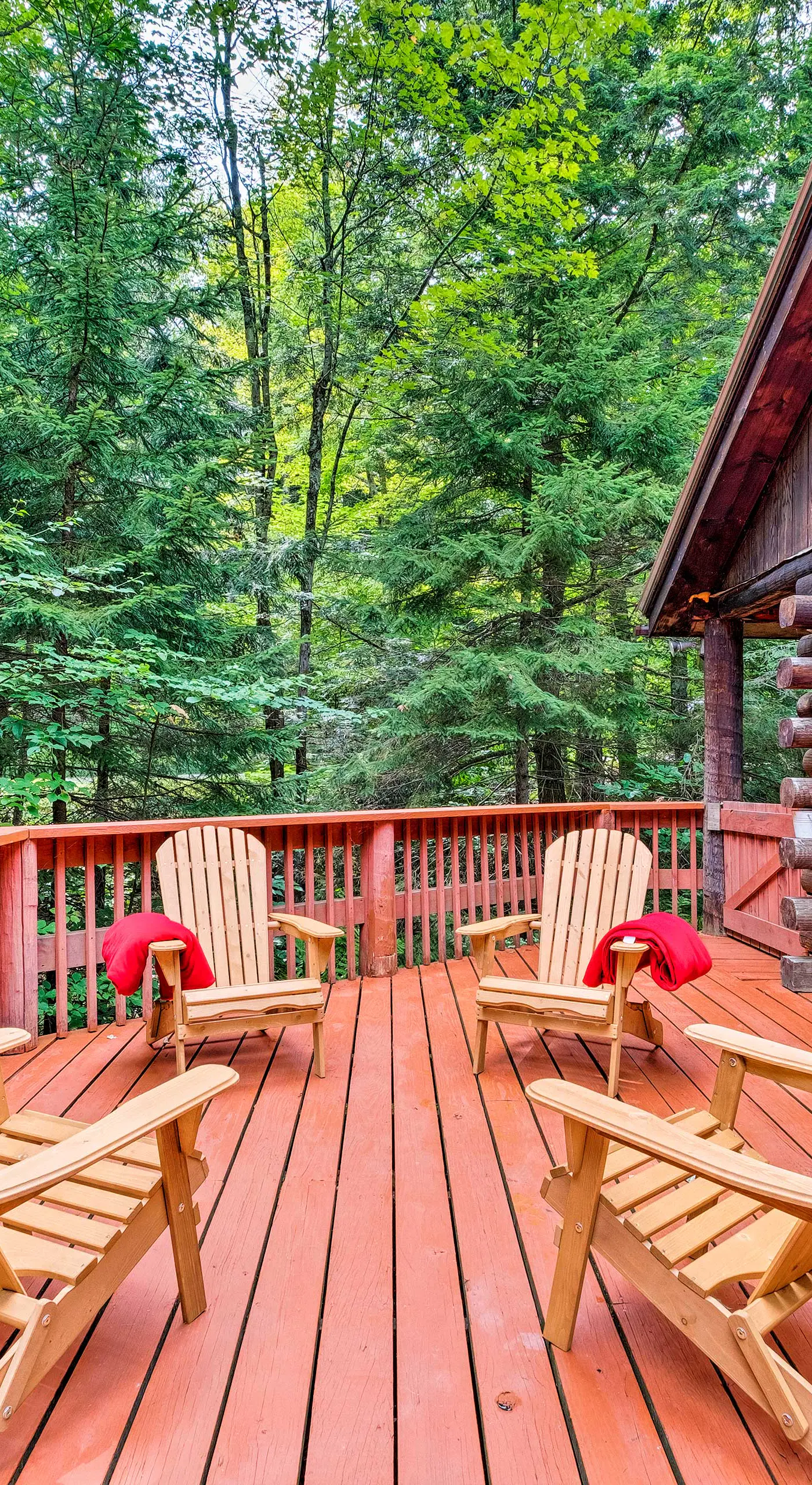 Private Wooded Cabin: 7 Mi to Mount Snow!