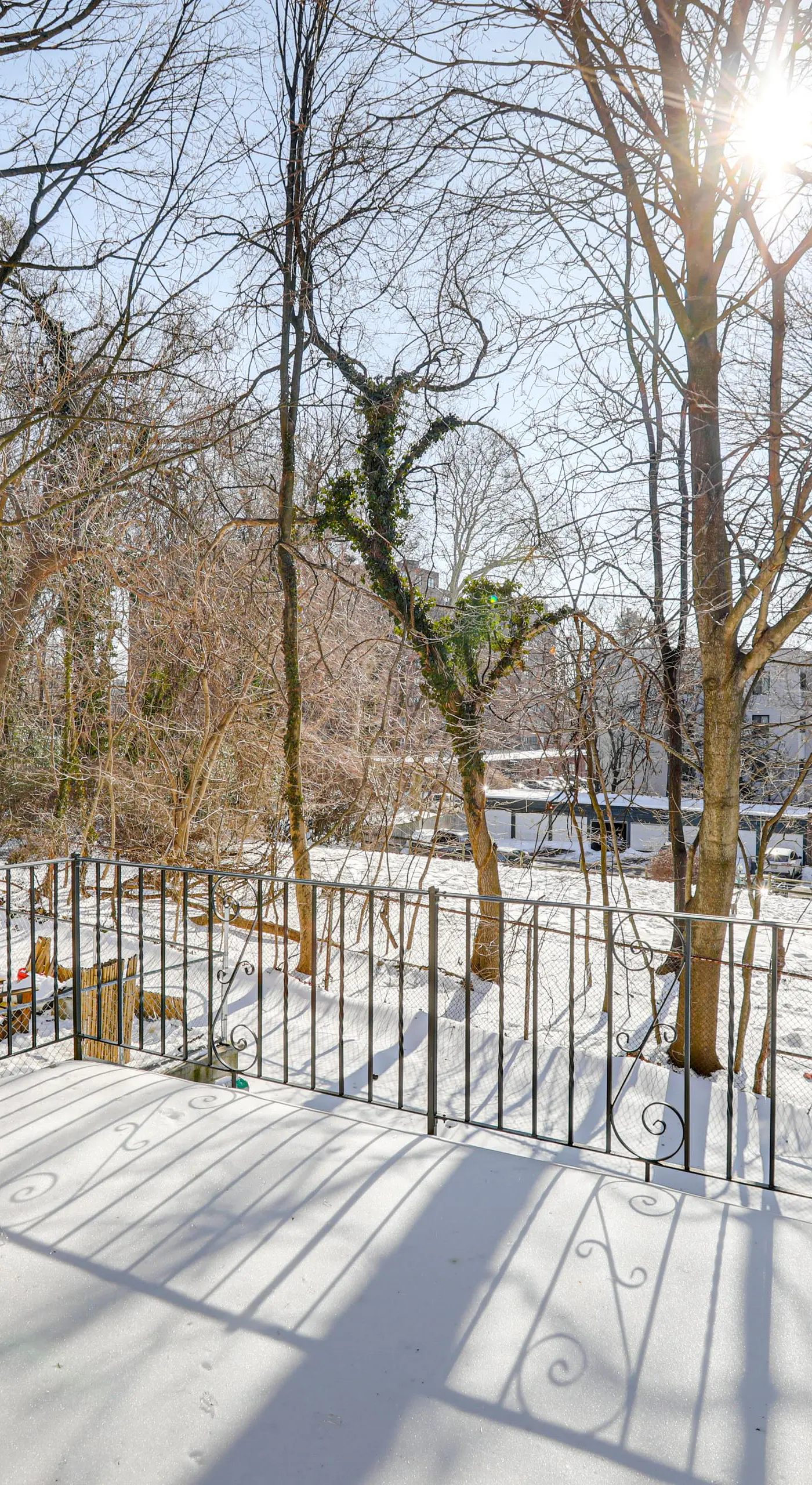 Walk to Public Transit: Family Home in Mount Airy!
