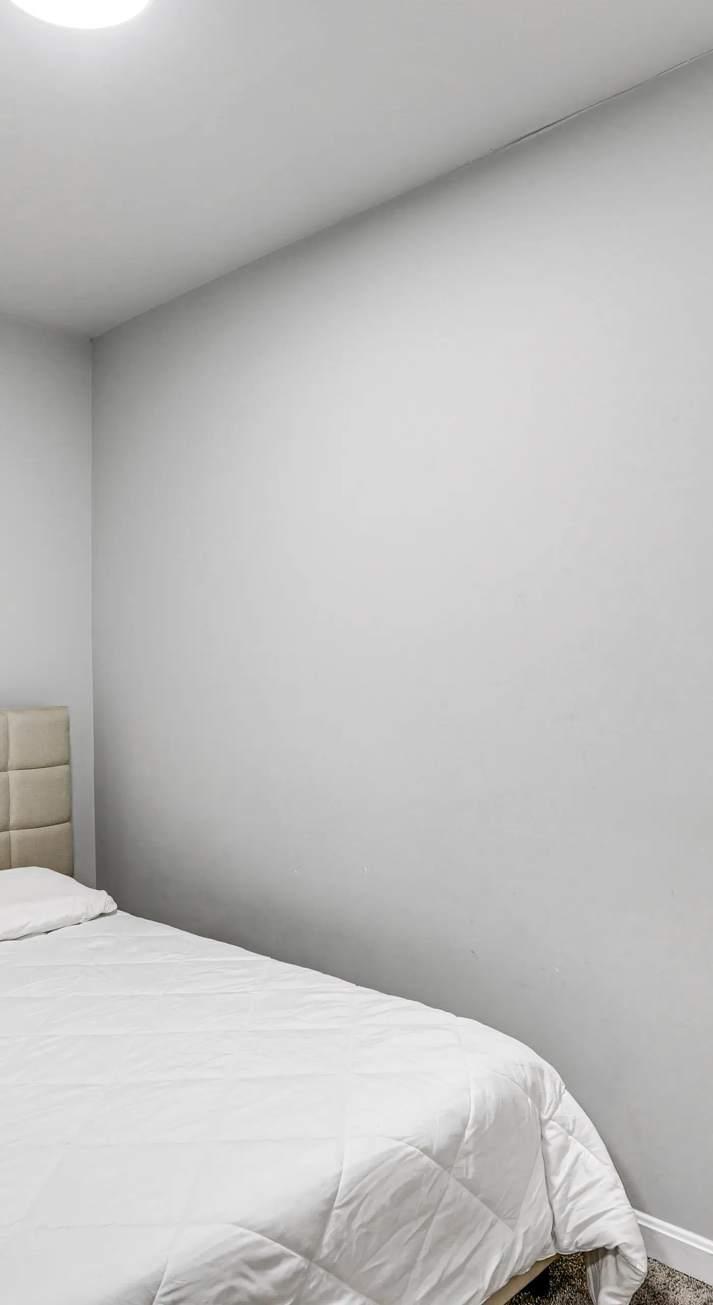 Pet-Friendly 3BR Rowhouse: Walk to Patterson Park!