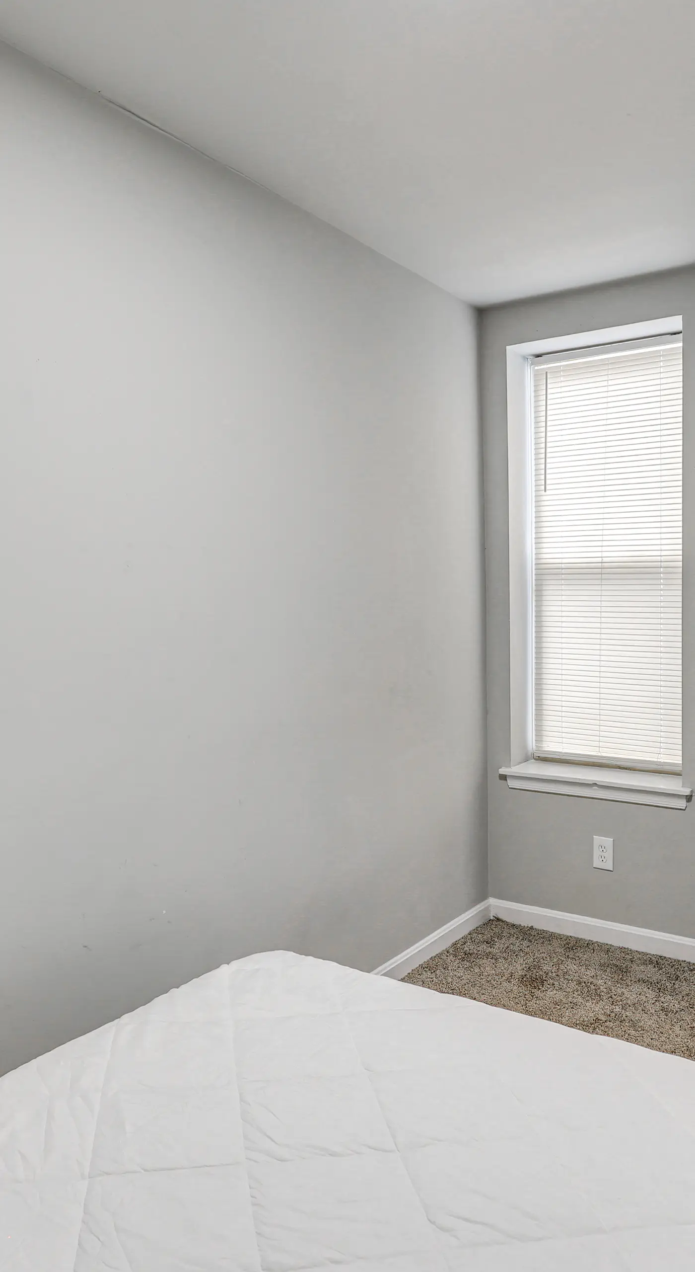Pet-Friendly 3BR Rowhouse: Walk to Patterson Park!