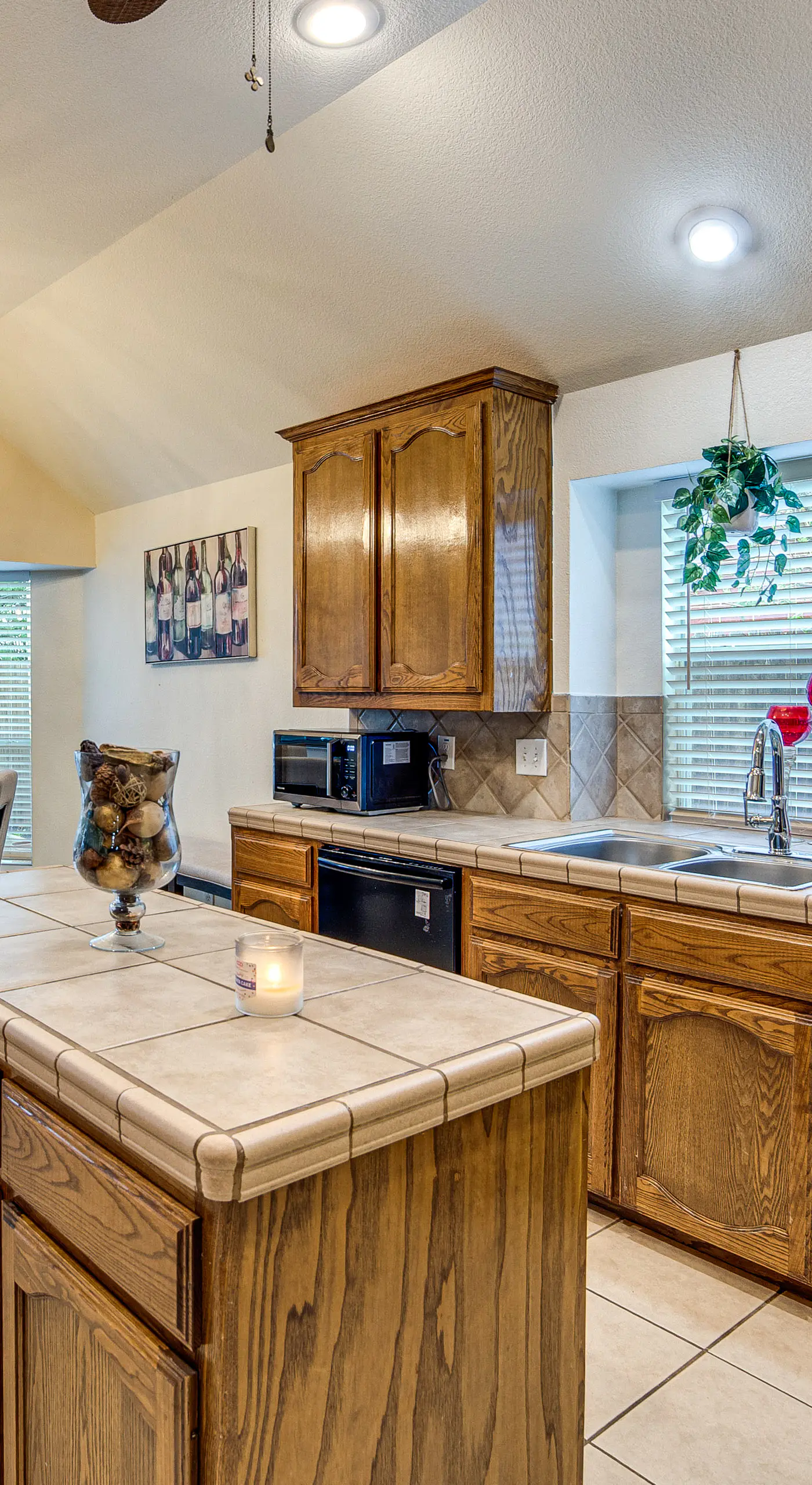 Spacious Arlington Home By Shops, Parks & Lakes