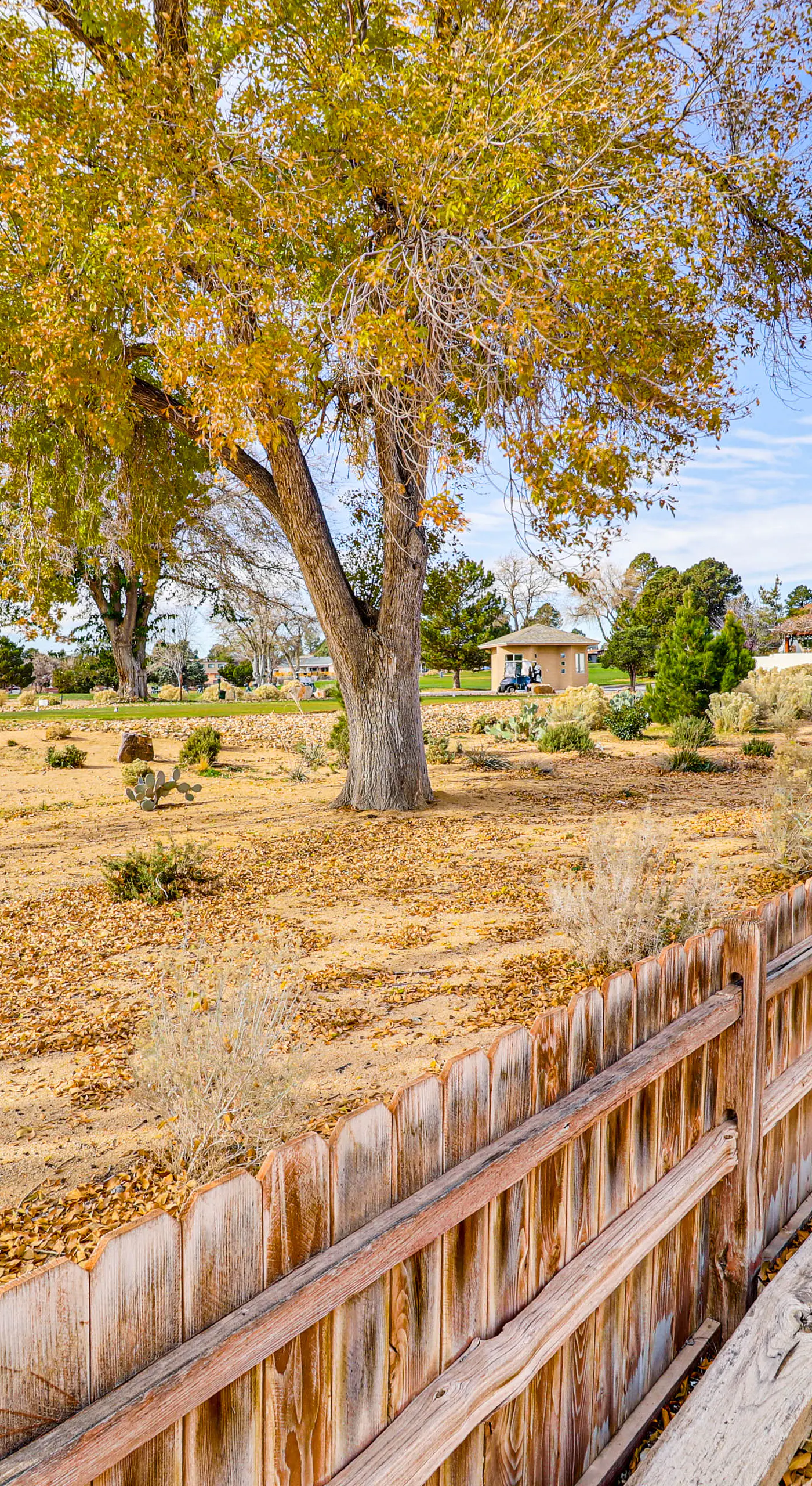 Walk to Paradise Hills Golf Course: Condo w/ Patio