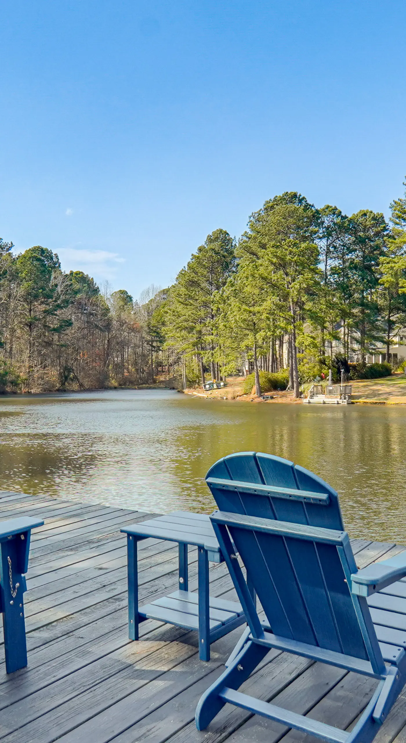 Pedal Pontoon & Movie Room! Lakefront Family Home
