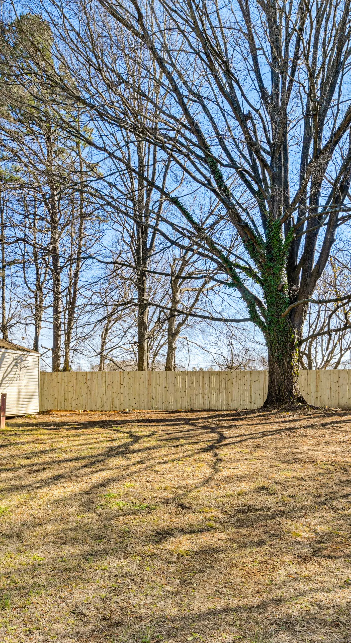 2 Mi to Uptown Lexington: Pet-Friendly Getaway!