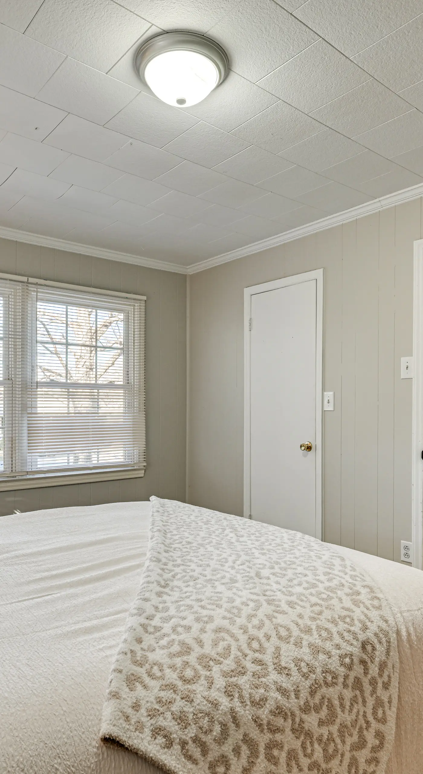 2 Mi to Uptown Lexington: Pet-Friendly Getaway!