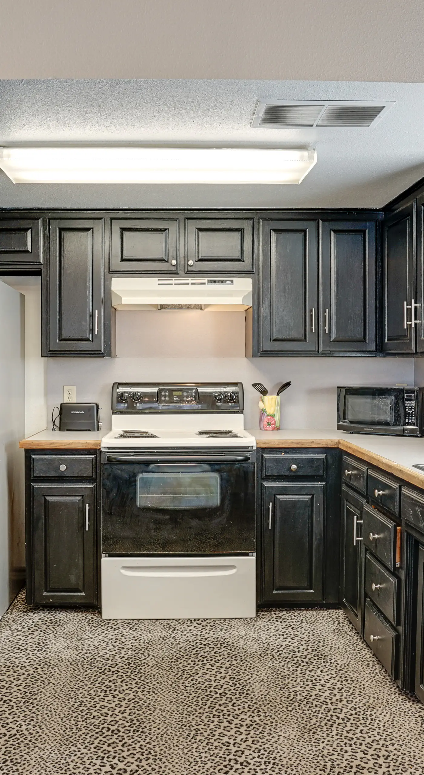 Pet-Friendly Fort Worth Home: 8 Mi to AT&T Stadium