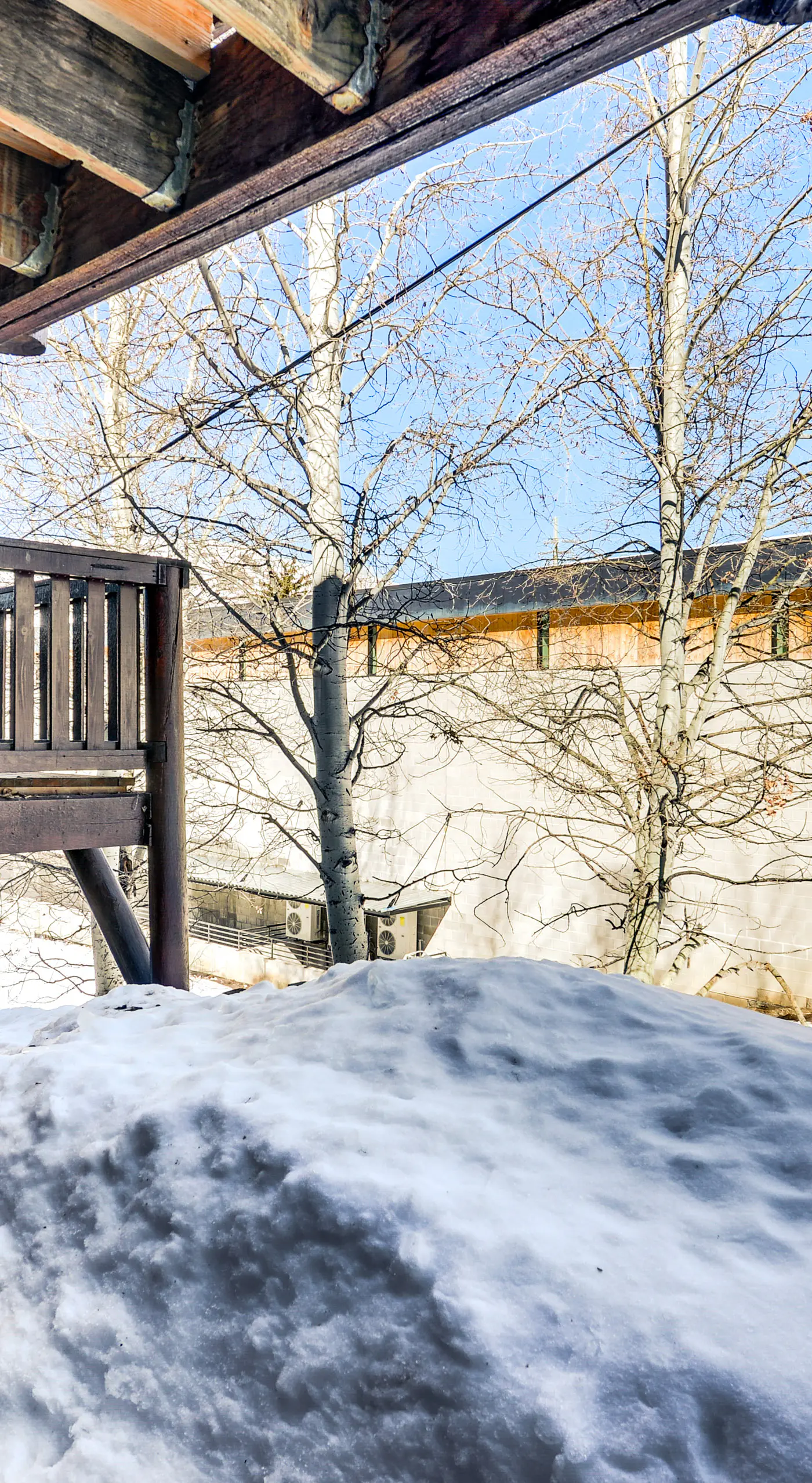 Cozy Mountain Condo Across From Snow King Ski Mtn!