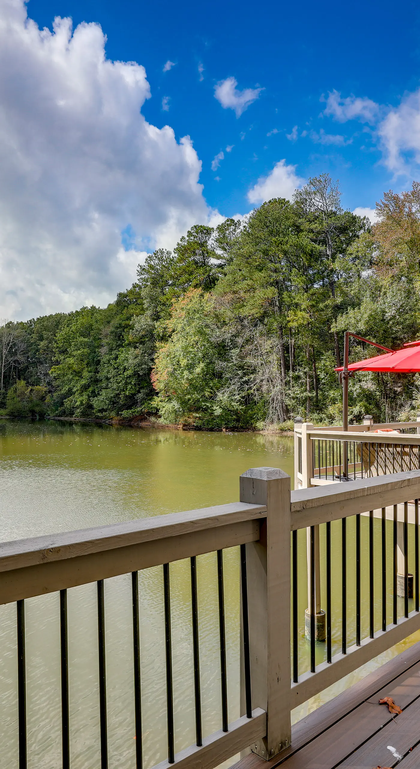 Lawrenceville Gem w/ Boat Dock on Private Lake!