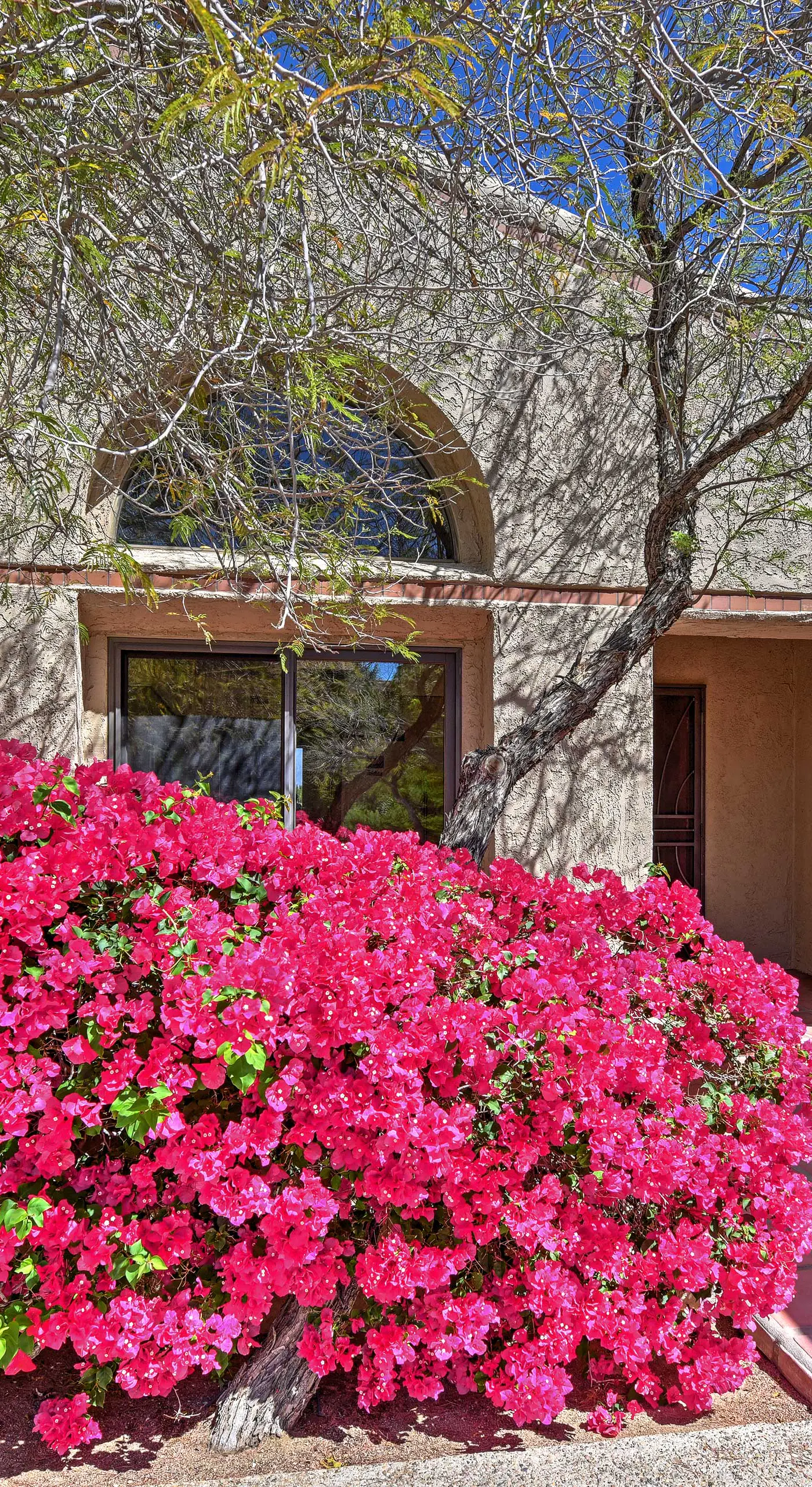 Borrego Springs Condo w/ Private Patio & Views!