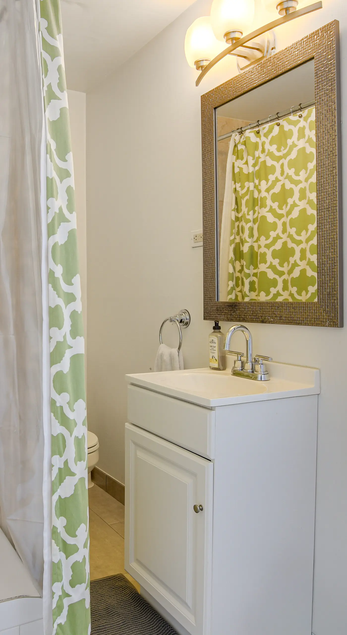 Spacious Chicago Group Home! Walk to Train & Eats