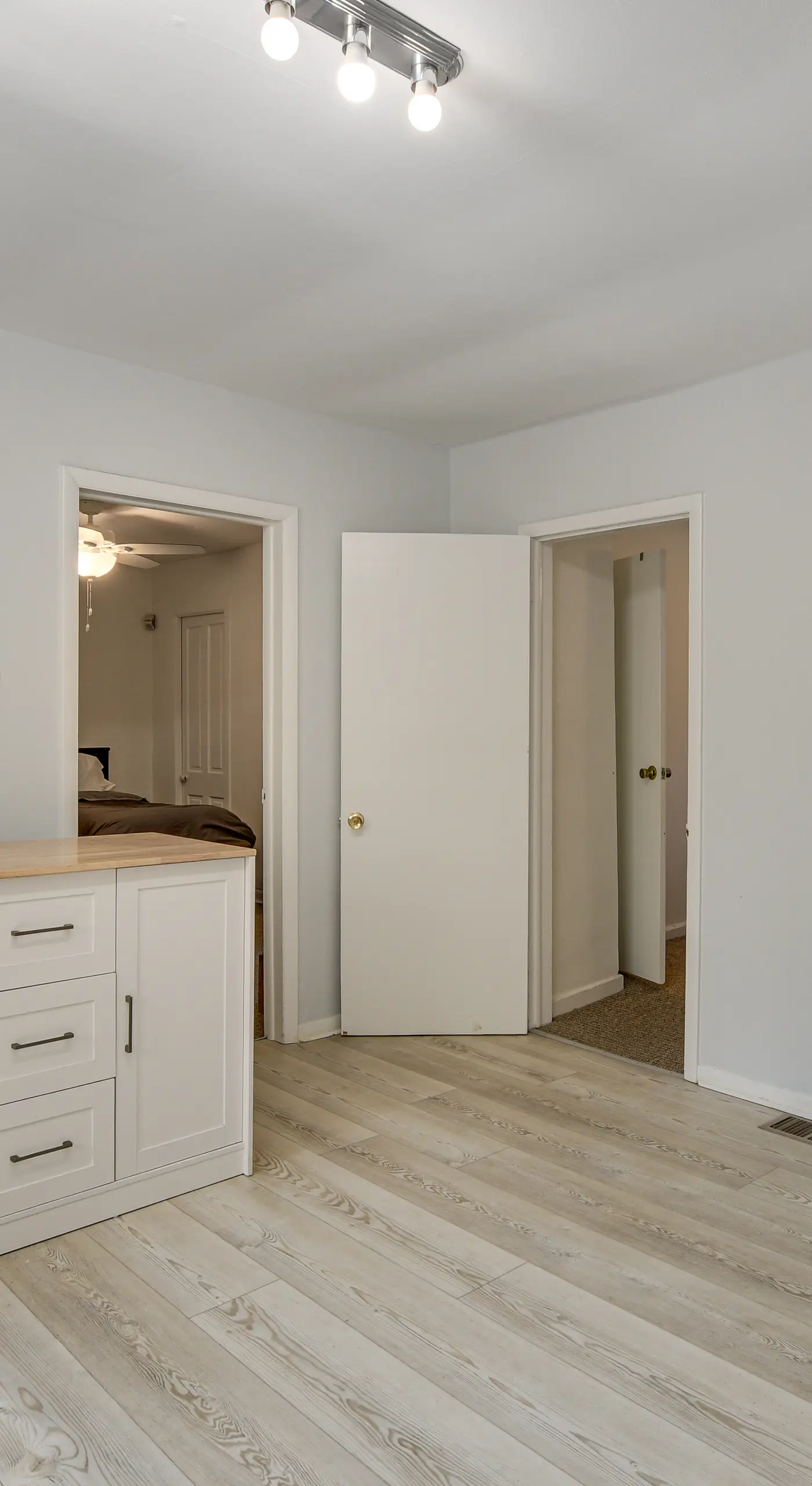Spacious Chicago Group Home! Walk to Train & Eats