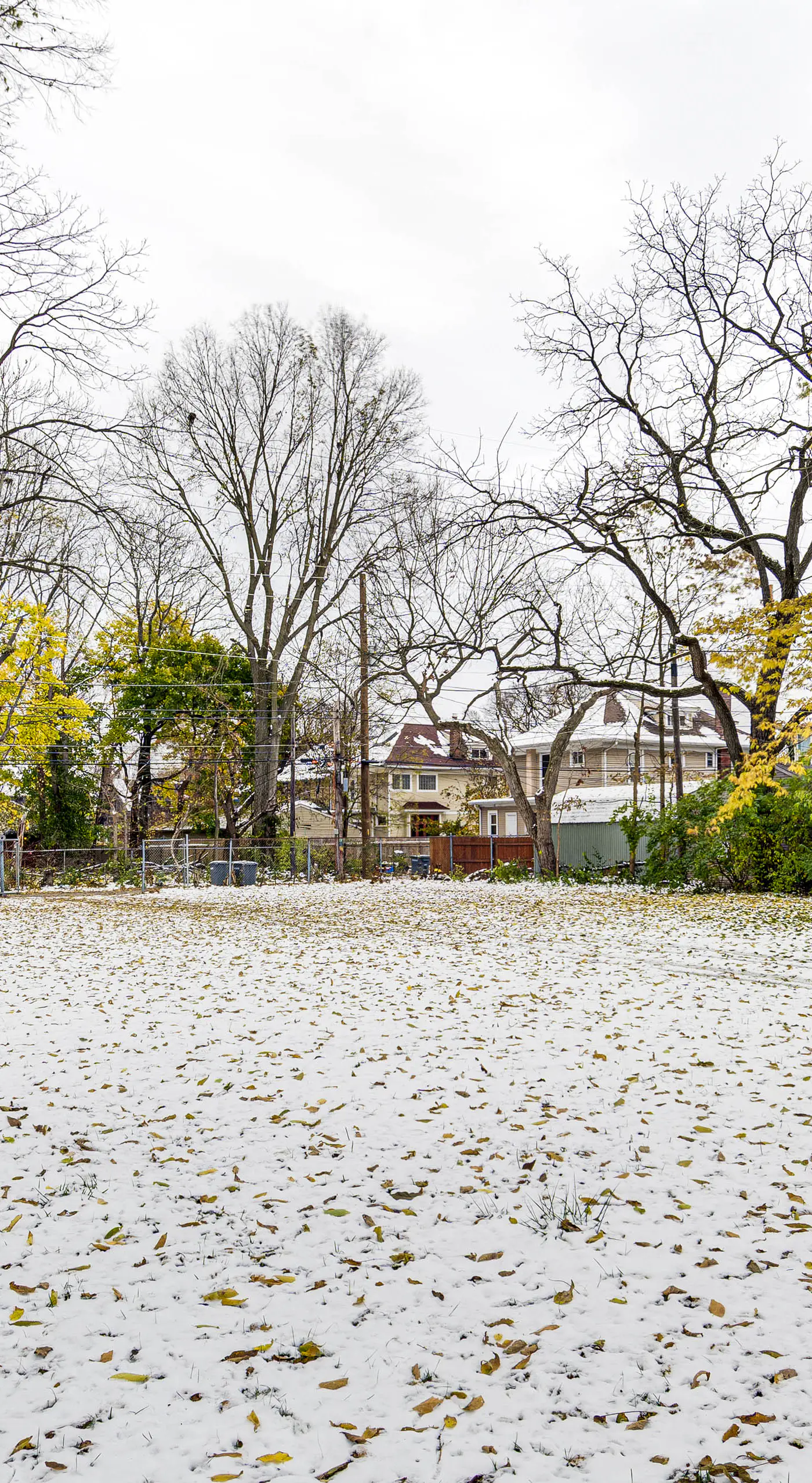 Pet Friendly near Park: 6 mi to Speedway