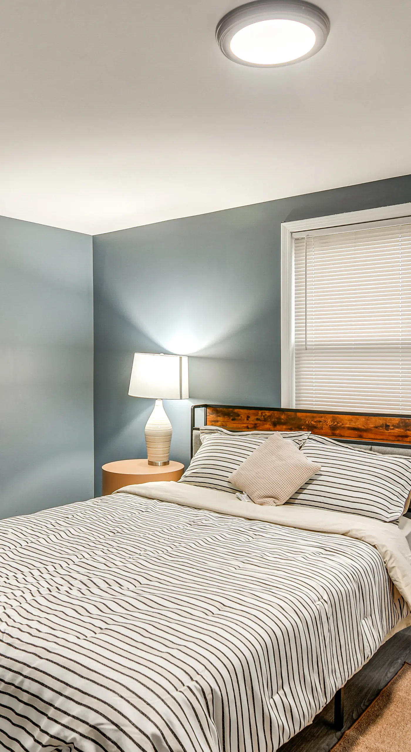 Pet Friendly! NW Philly Rowhouse w/ Fenced Yard!