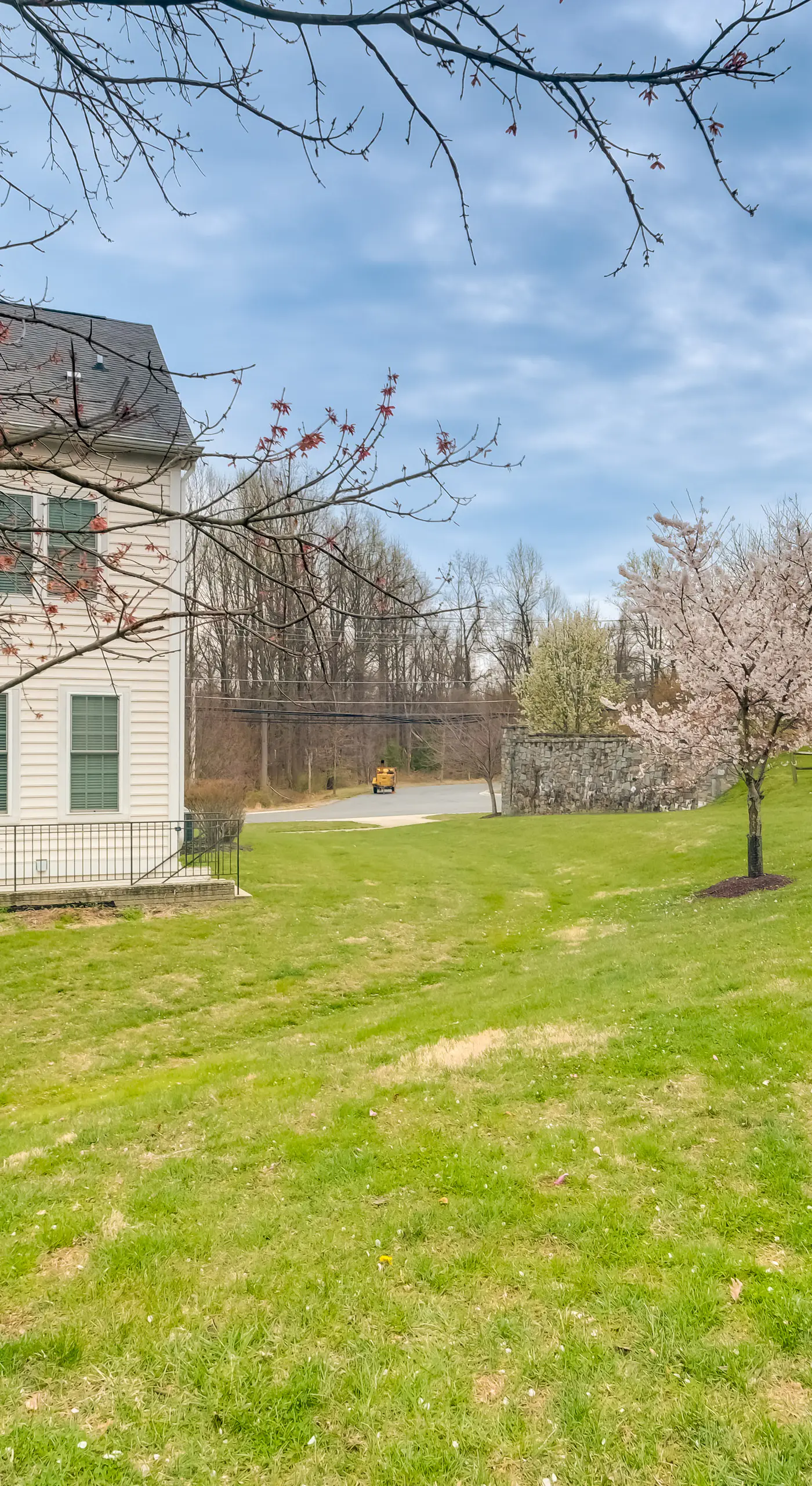 Pet-Friendly DC Area Condo w/ Yard!