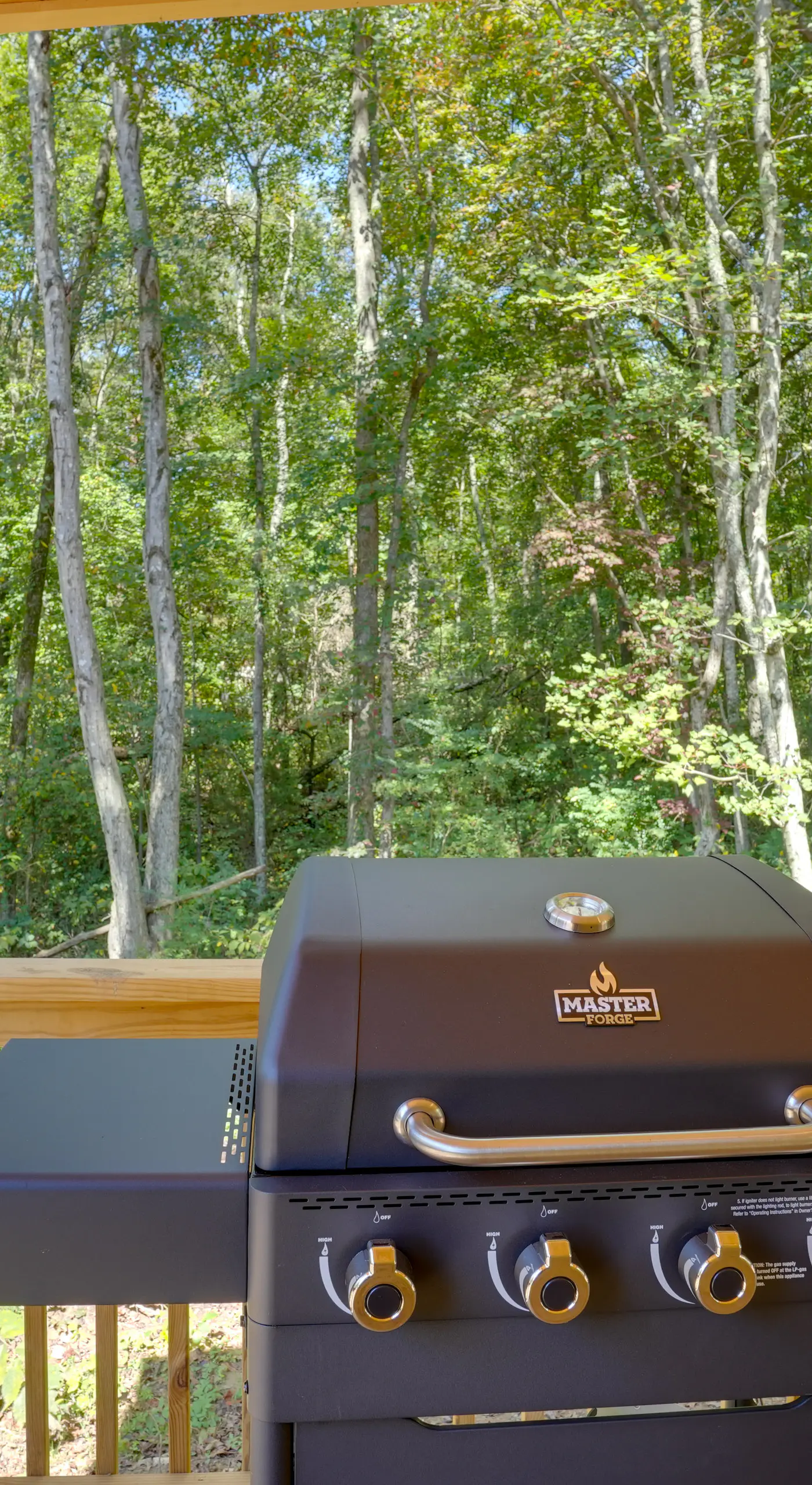 Lakeside Cabin w/ Kayaks: Near Cloudland Canyon!