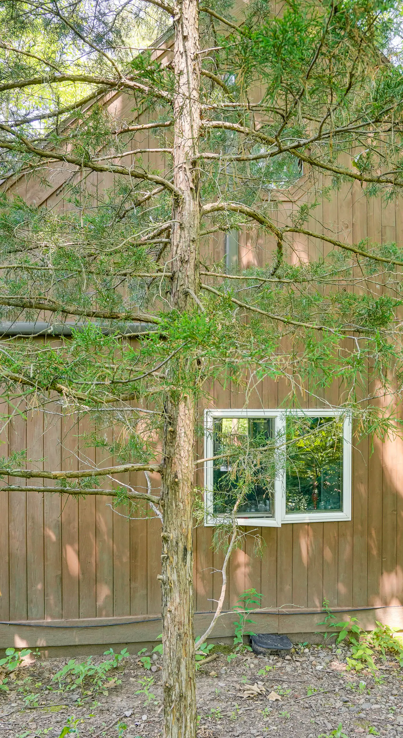 Treehouse Sanctuary Nature Retreat