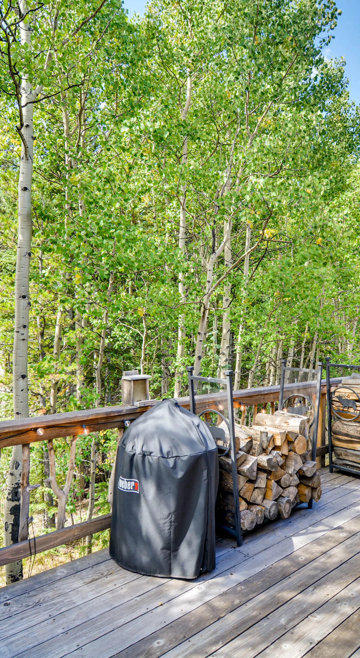 Hot Tub & Deck: Cabin Near Dtwn Alma & Breck