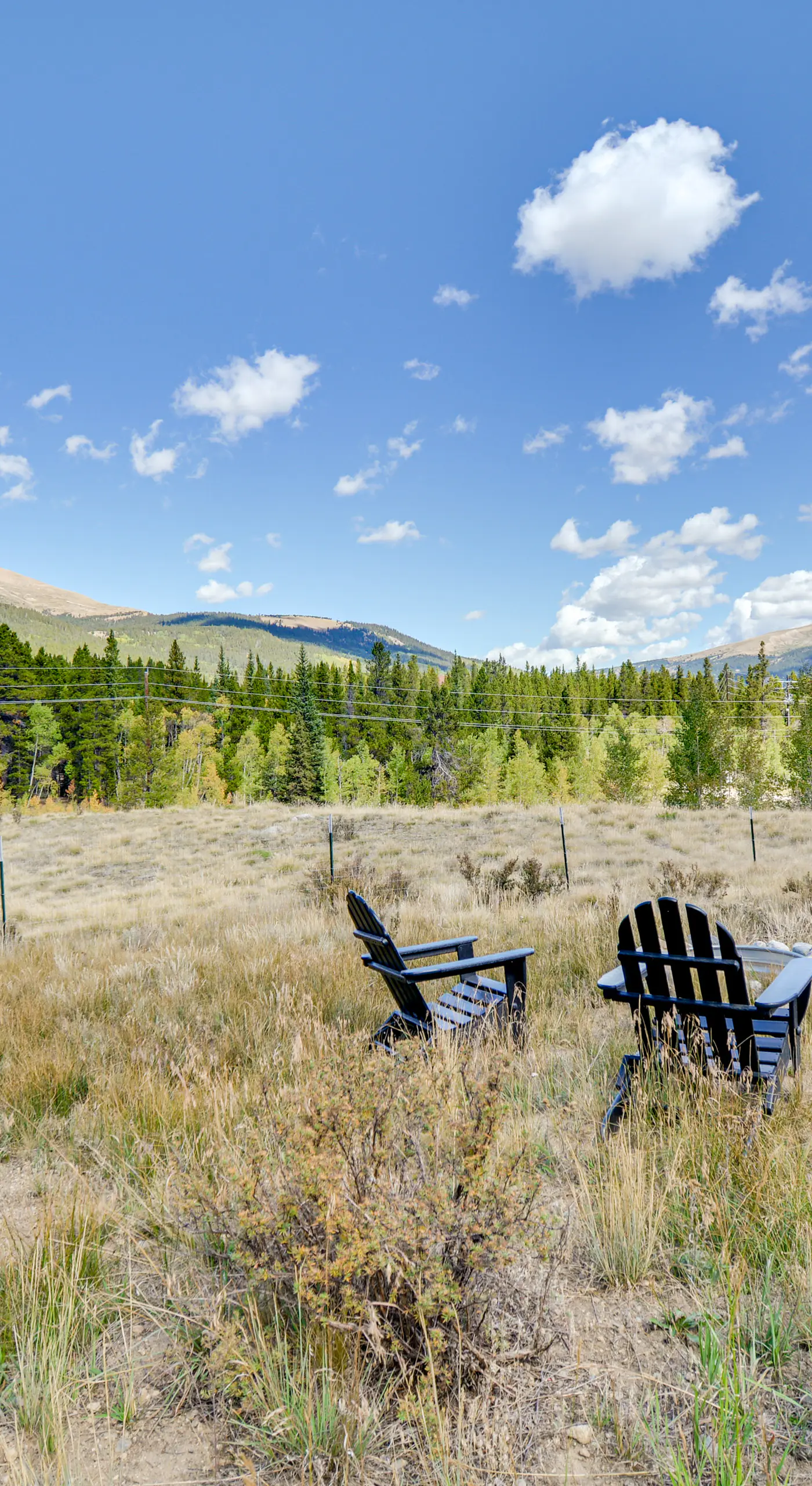 Hot Tub & Deck: Cabin Near Dtwn Alma & Breck