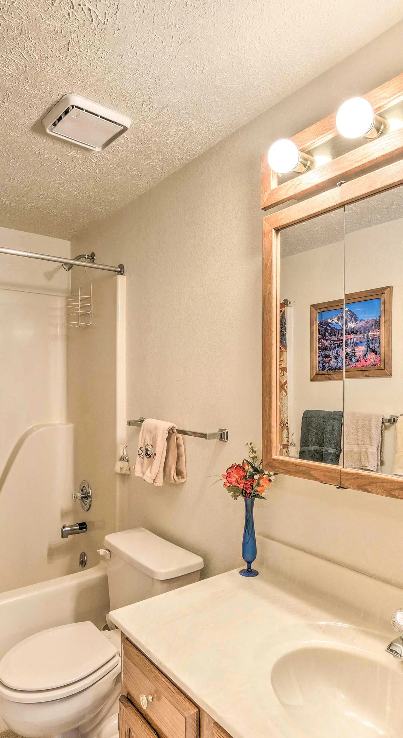 Mountain-View Buena Vista Home: 1 Mile to Main St!