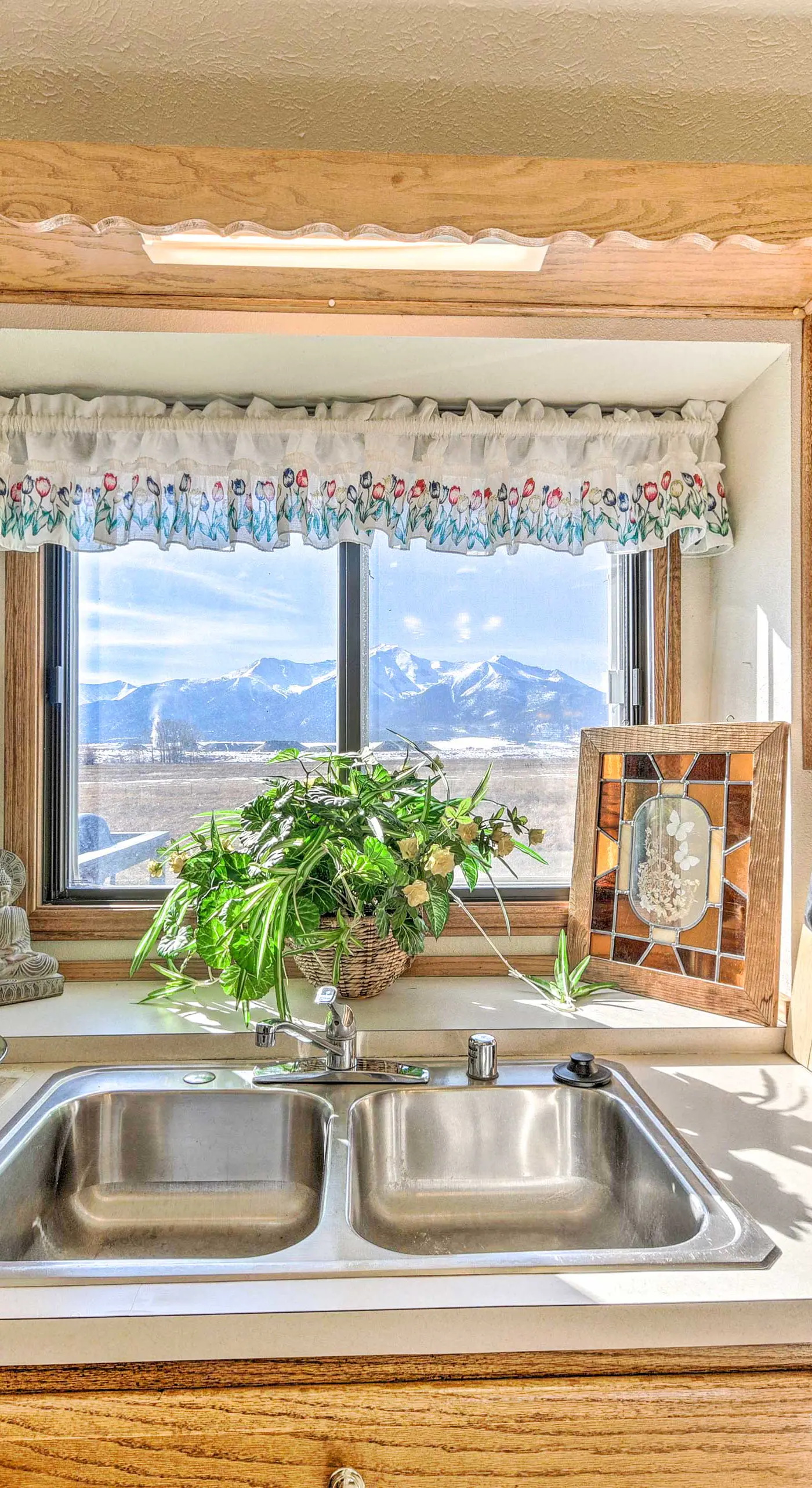 Mountain-View Buena Vista Home: 1 Mile to Main St!