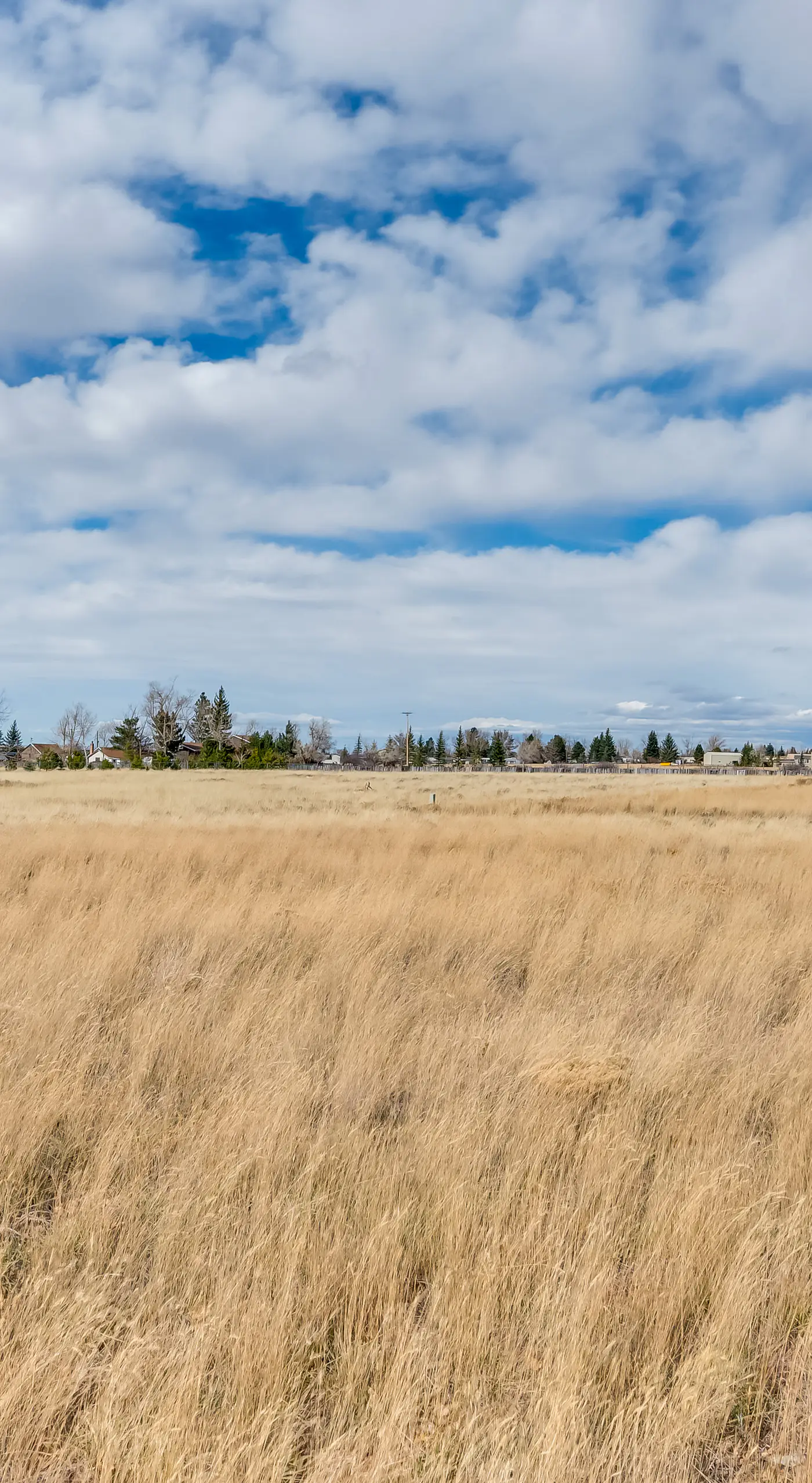 Charming Country Home in Laramie - 4 Mi to UW!
