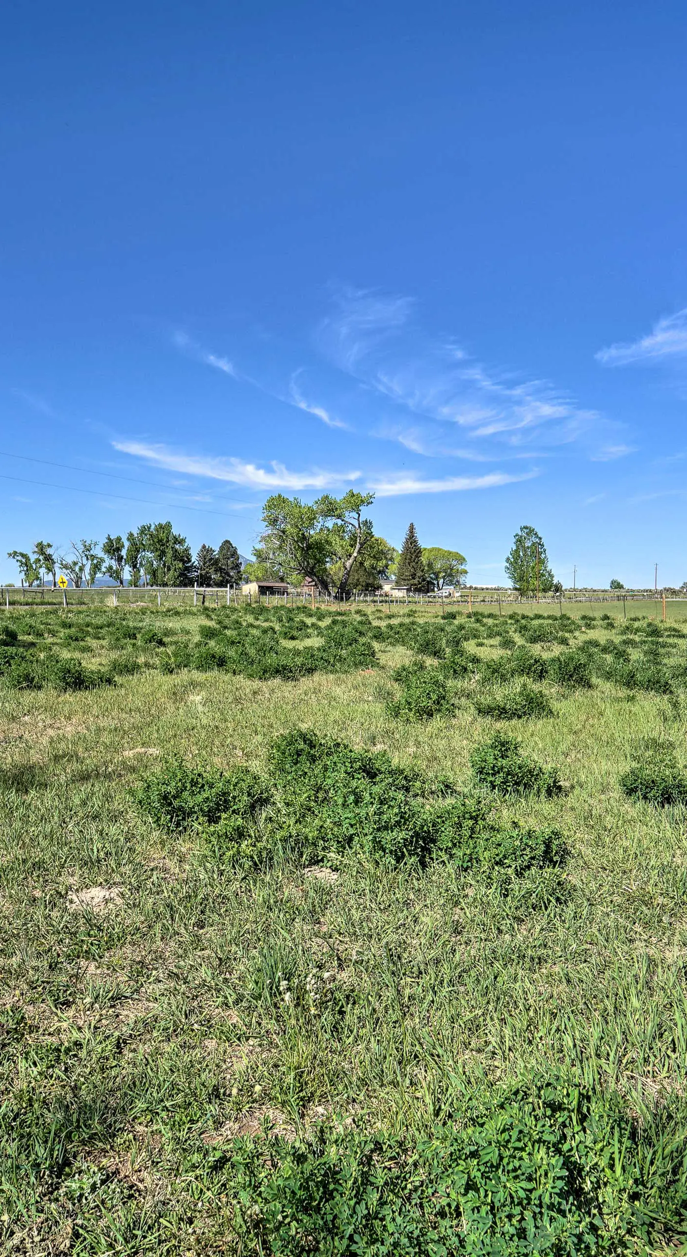 14 Mi to Mesa Verde Nat'l Park: Cortez Ranch