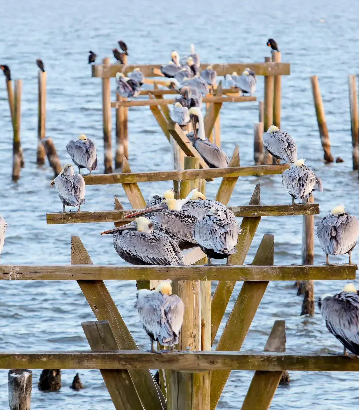 Private Dock & Pool: Luxe NOLA Group Getaway!