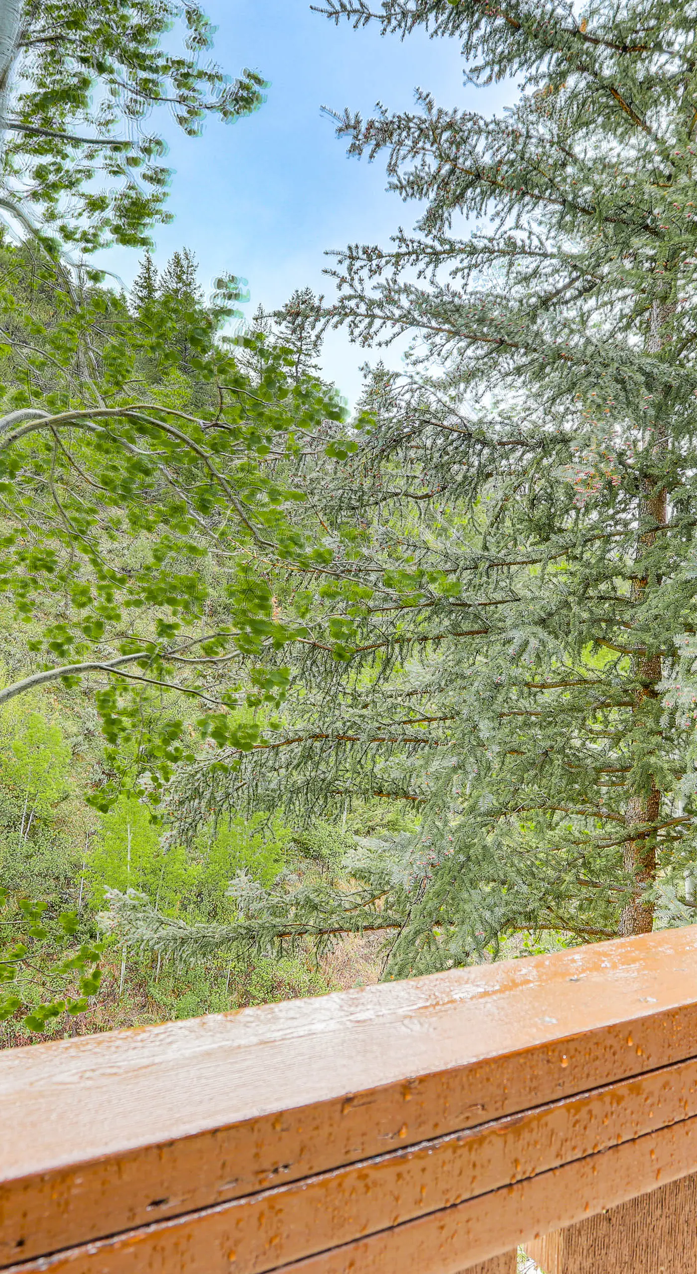 Walk to Lift: Arrowhead Ski Condo w/ Pool Access!