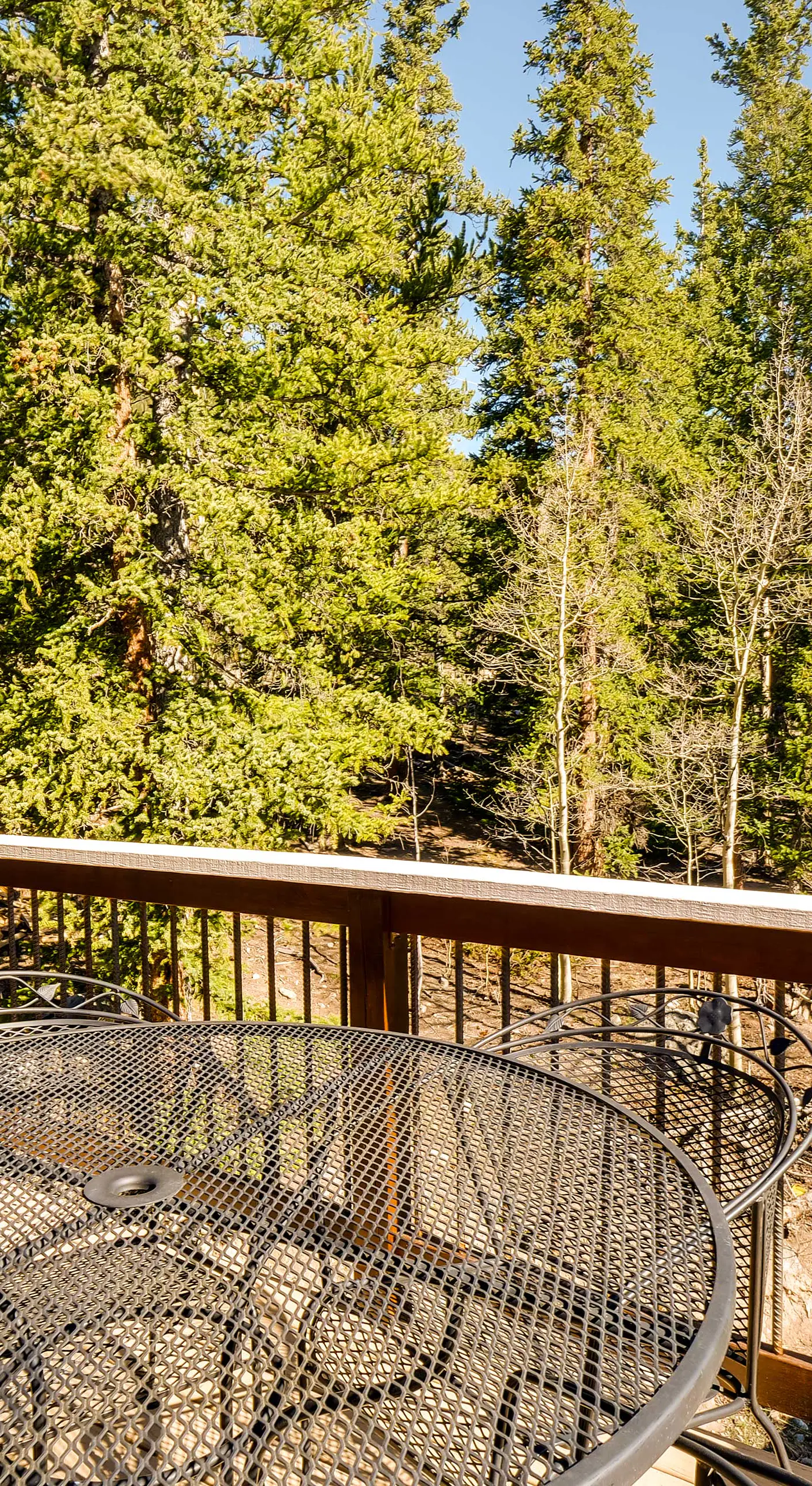 Roomy Alma Cabin w/ Pool Table: Ski, Hike, & Fish!