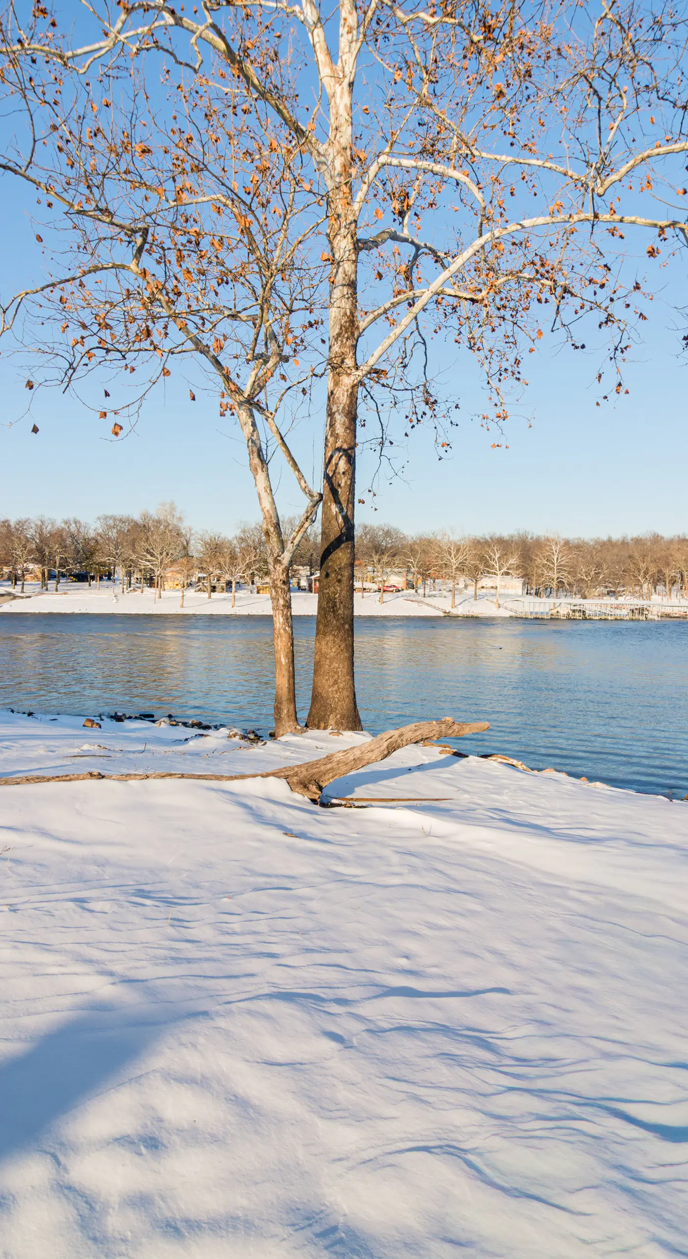 Bring Your Boat! Family-Friendly Gem on Grand Lake